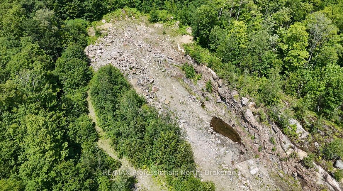 1975 Queens Line Road, Minden Hills, ON K0M 2K0 photo 4