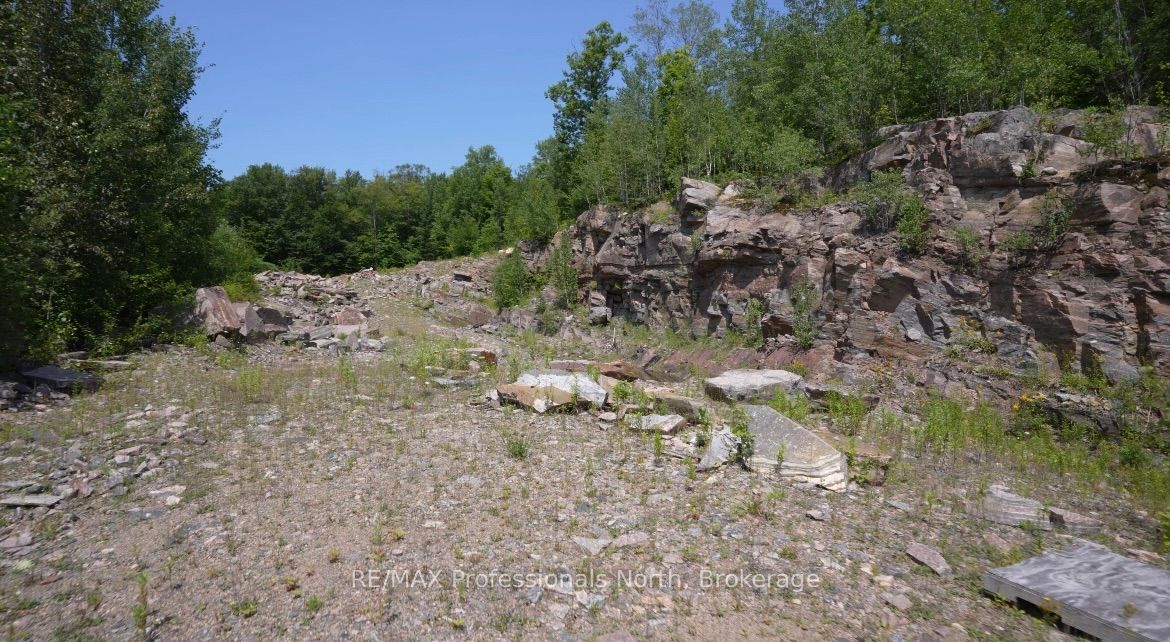 1975 Queens Line Road, Minden Hills, ON K0M 2K0 photo 5
