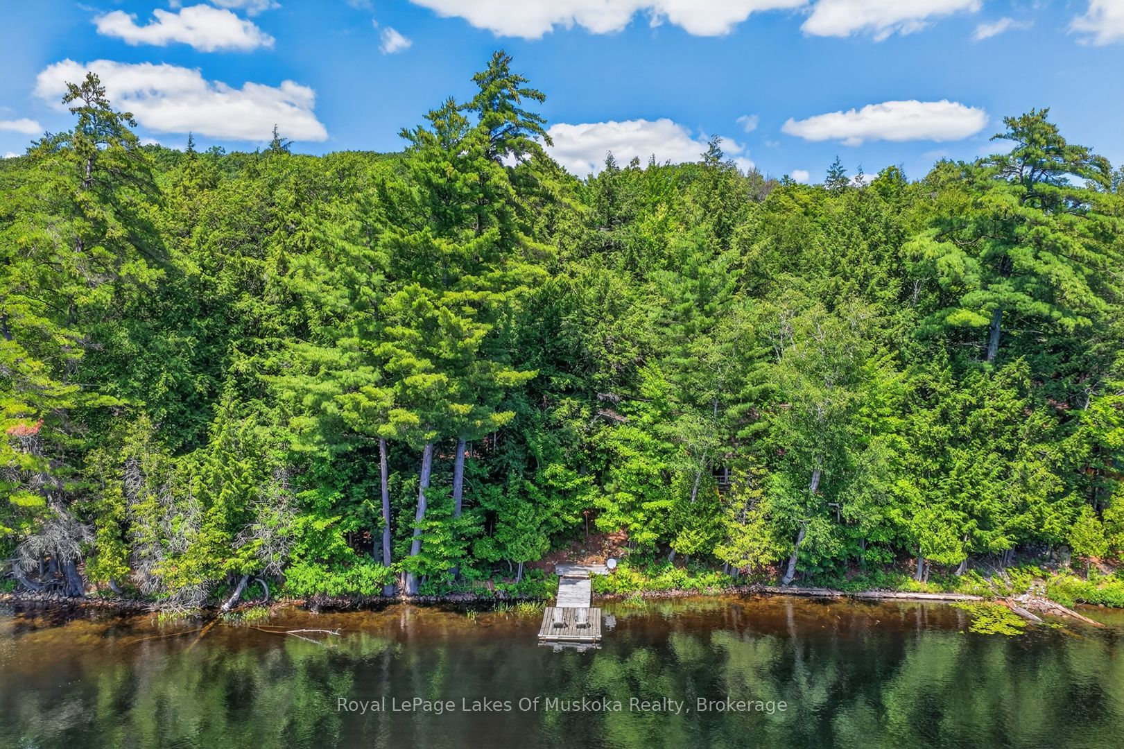 1199 North Waseosa Lake Road, Huntsville, ON P1H 2J4 photo 4