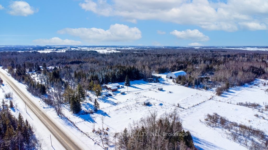 1185 Sturgeon Road, Kawartha Lakes, ON K9V 4R8 photo 5