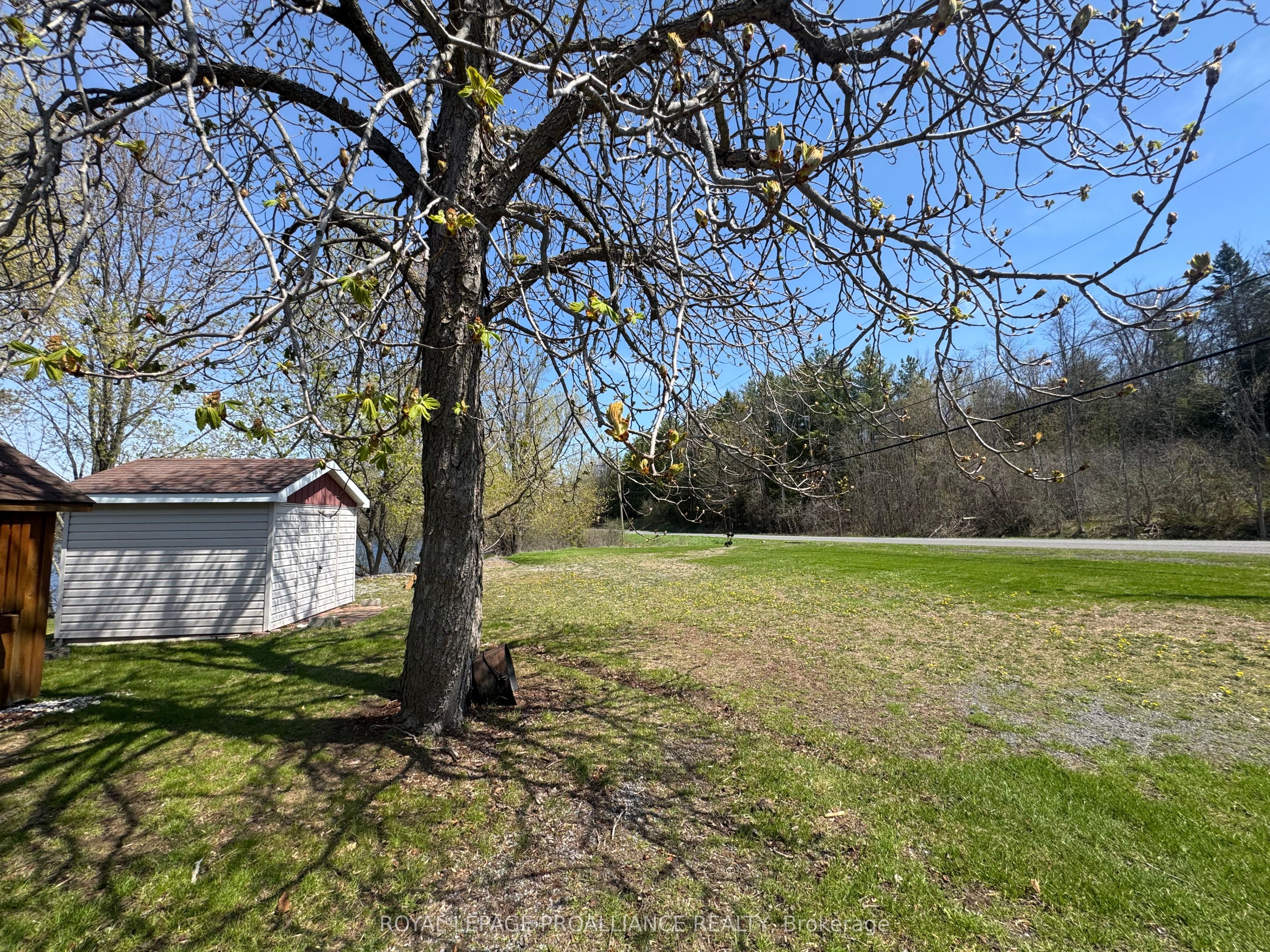 81 Scuttlehole Road, Belleville, ON K0K 2V0 photo 5