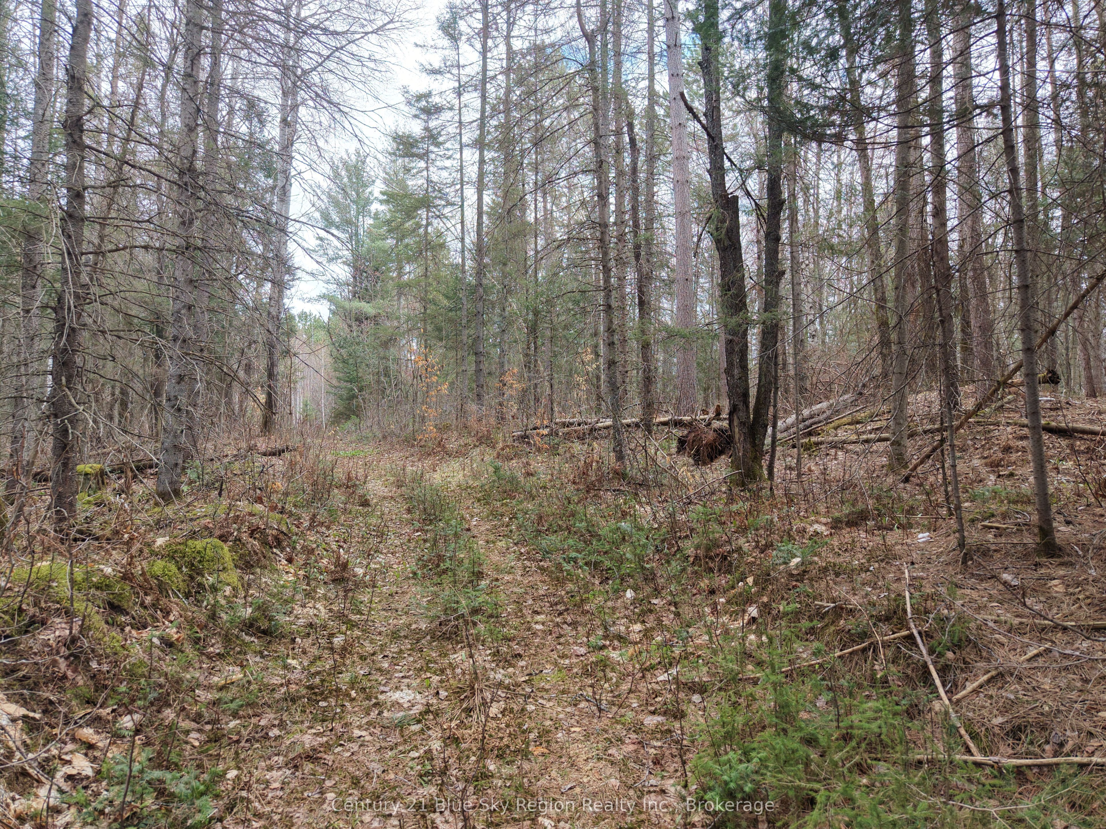 Lot 2, 3, 4, 5, Con 4 Old Nipissing Road, Nipissing, ON P0H 1Z0 photo 5