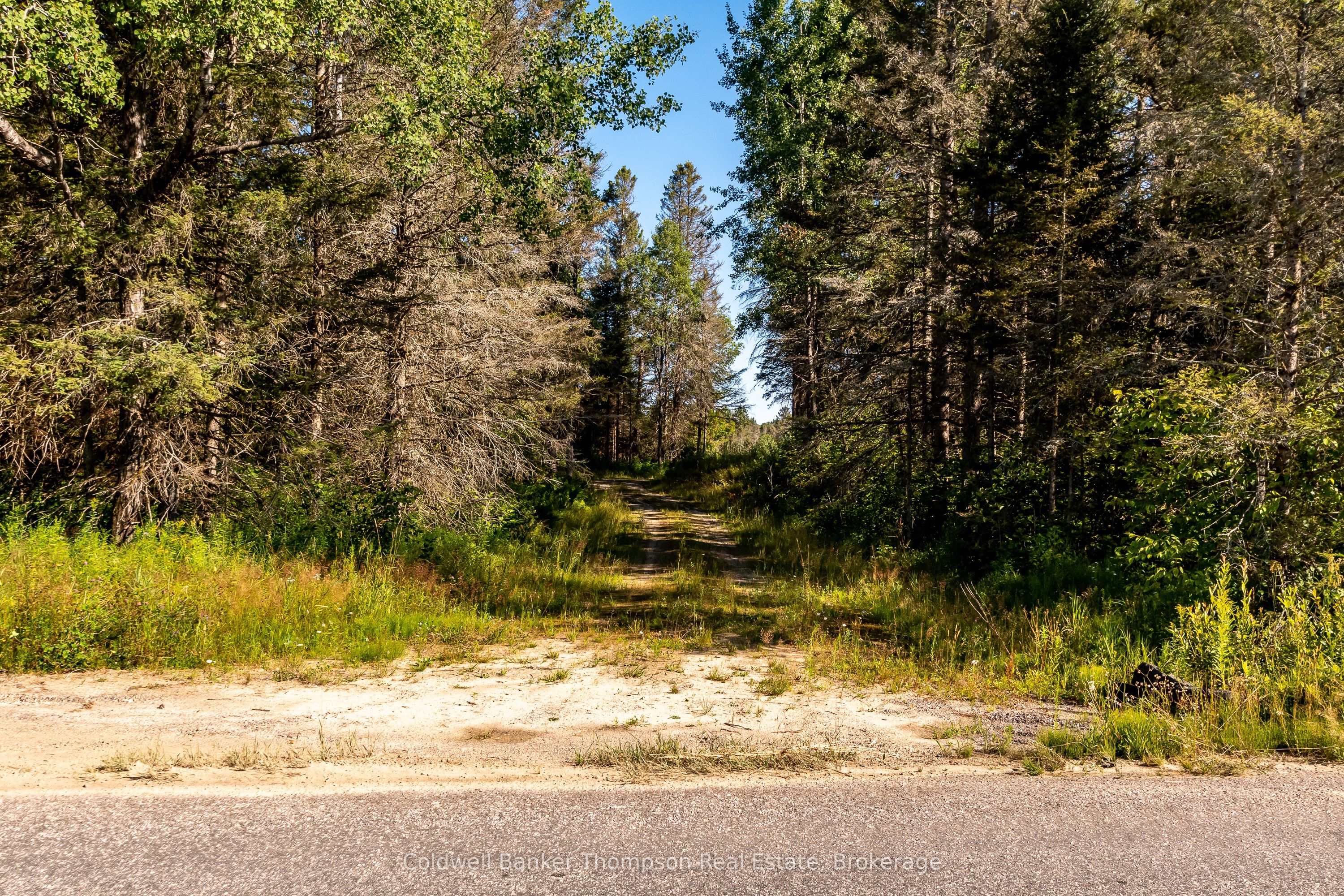 254 N Pickerel Lake Road, Armour, ON P0A 1C0 photo 3