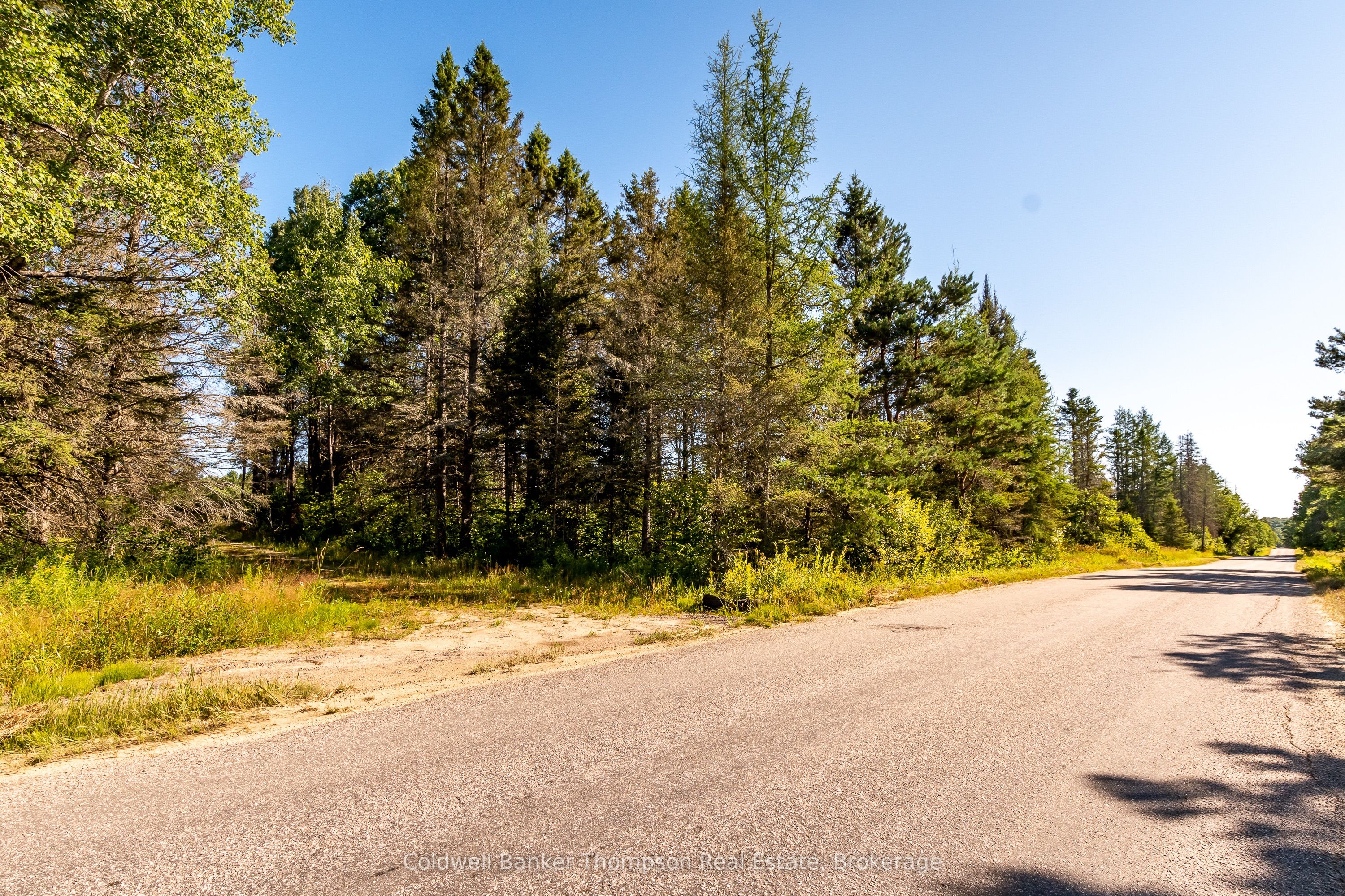 254 N Pickerel Lake Road, Armour, ON P0A 1C0 photo 4