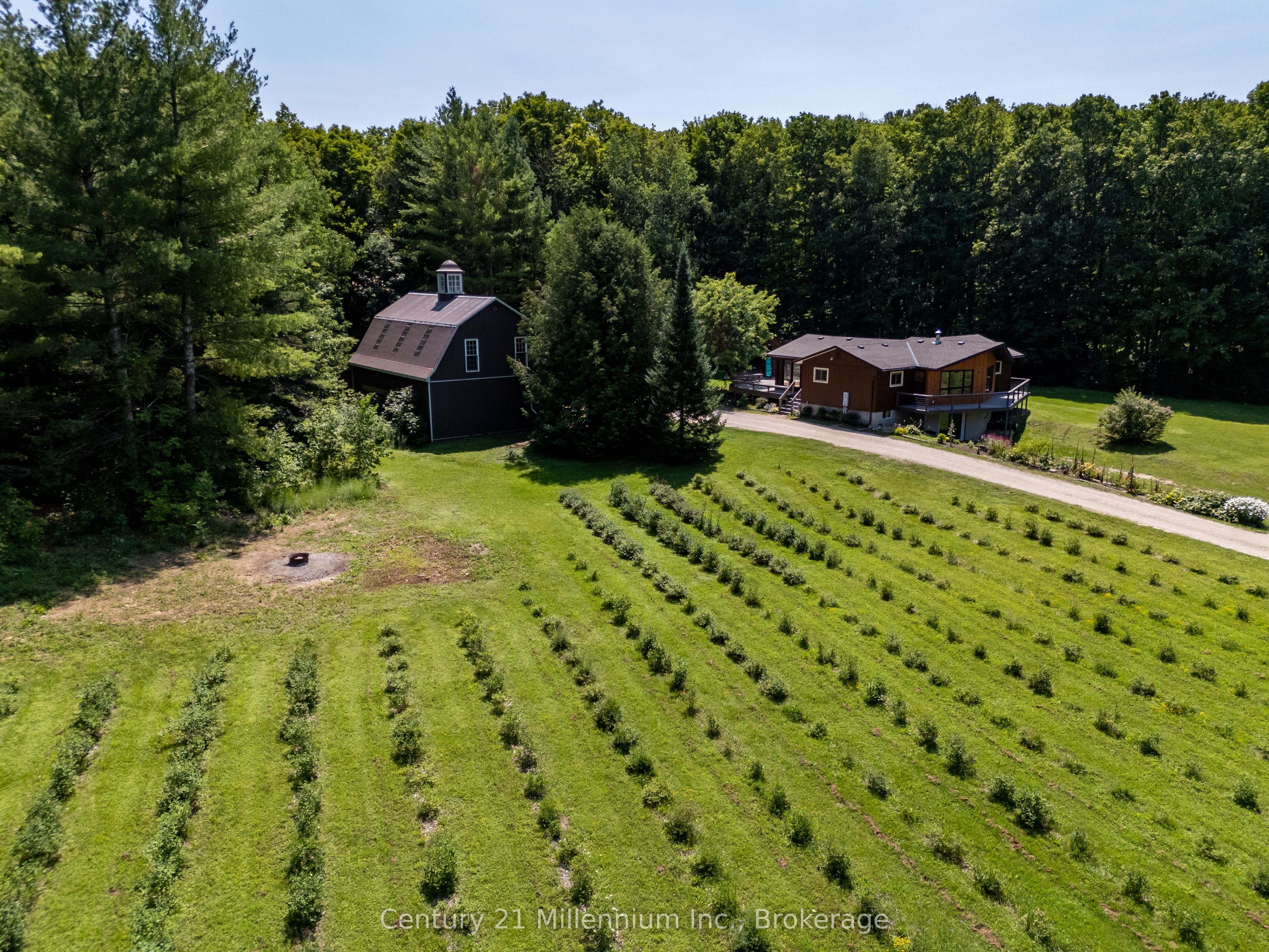 414616 Baseline Road, West Grey, ON N0C 1H0 photo 2