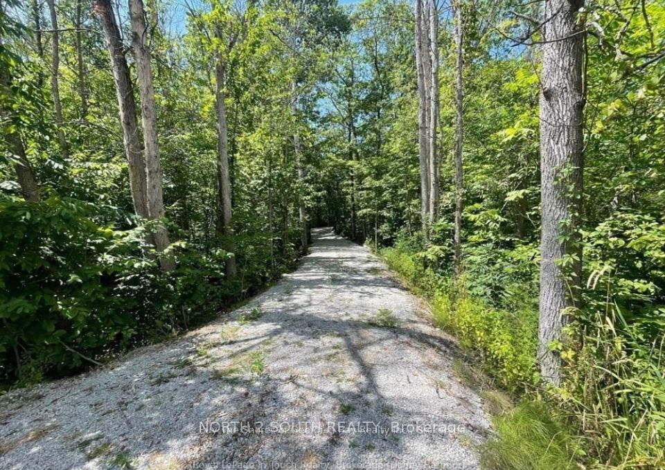 1203 Honey Harbour Road W, Georgian Bay, ON L0K 1S0 photo 2