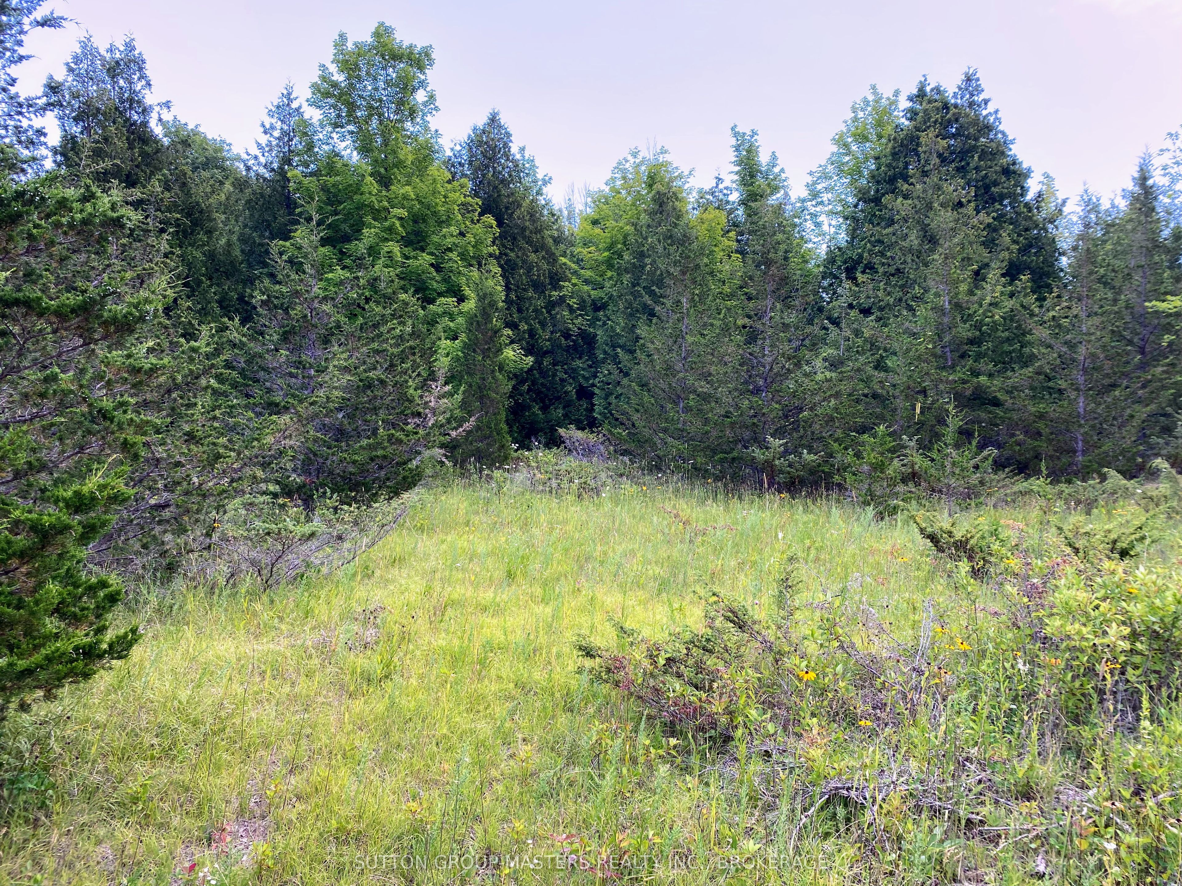 0 Colebrook Road, Stone Mills, ON K0K 3N0 photo 4