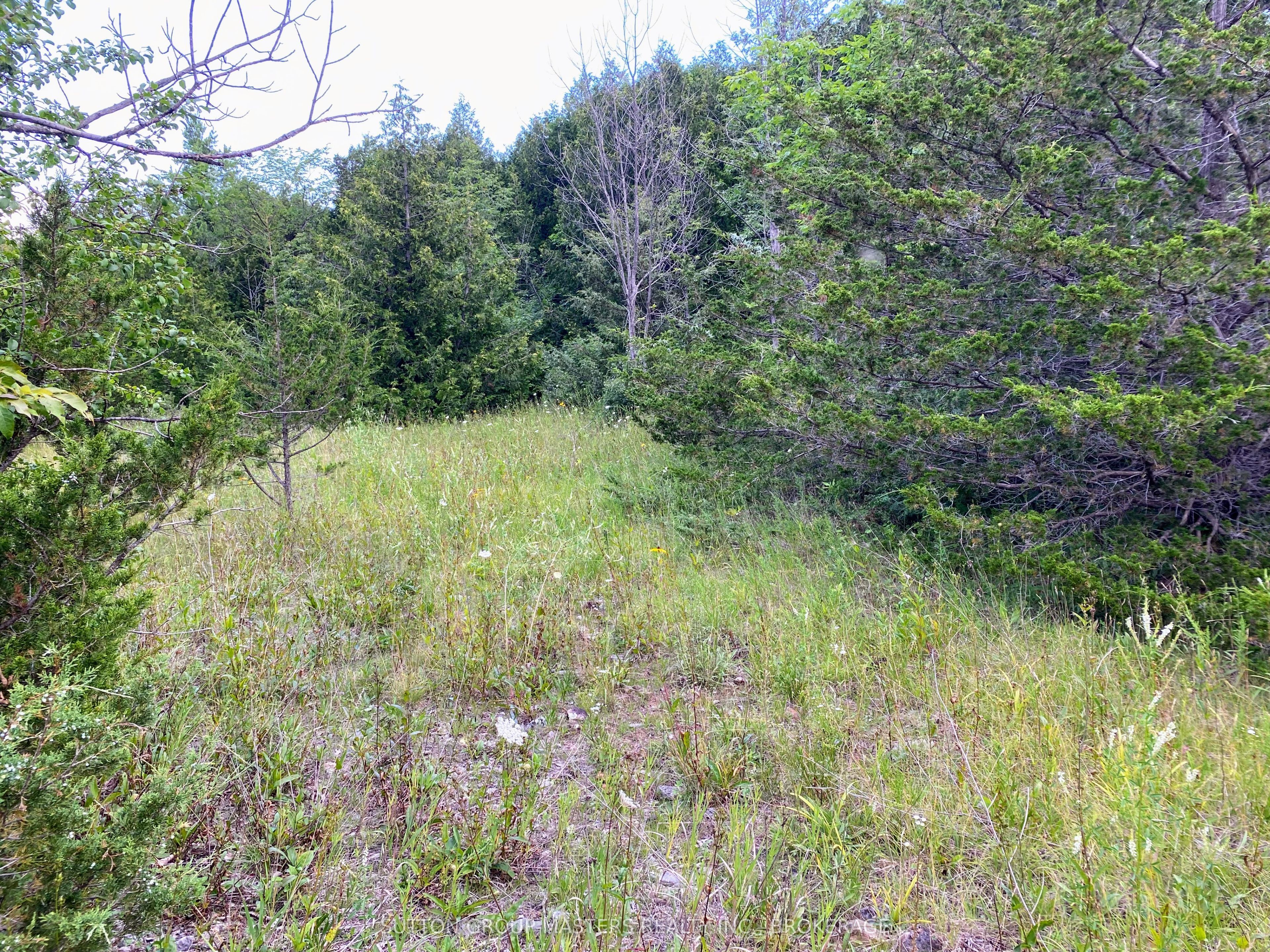 0 Colebrook Road, Stone Mills, ON K0K 3N0 photo 5