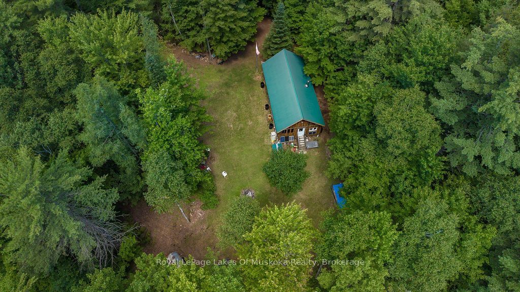 1101 Langford Road, Lake of Bays, ON P0B 1A0 photo 2