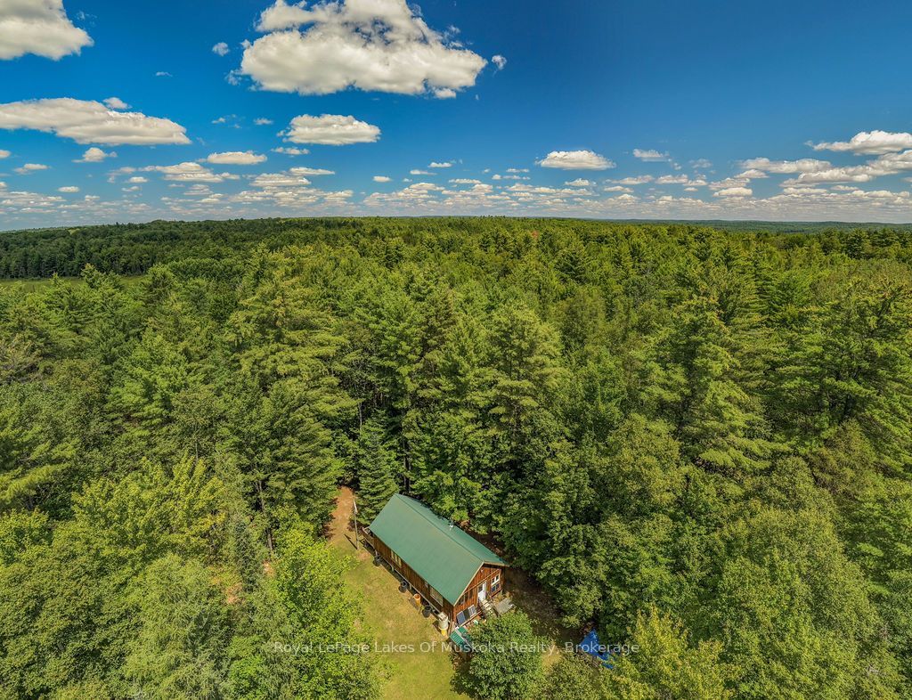 1101 Langford Road, Lake of Bays, ON P0B 1A0 photo 4