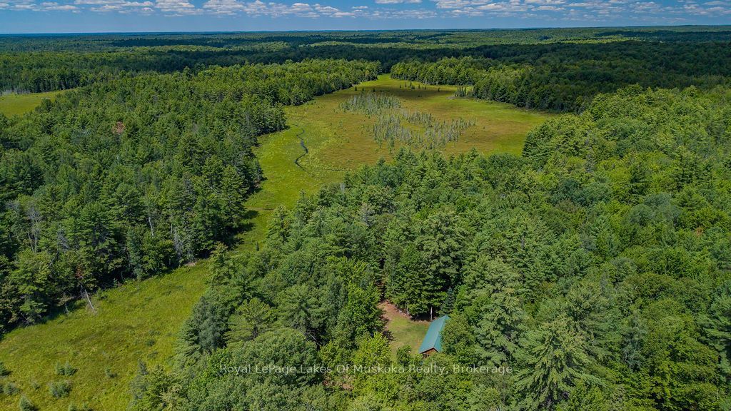 1101 Langford Road, Lake of Bays, ON P0B 1A0 photo 5