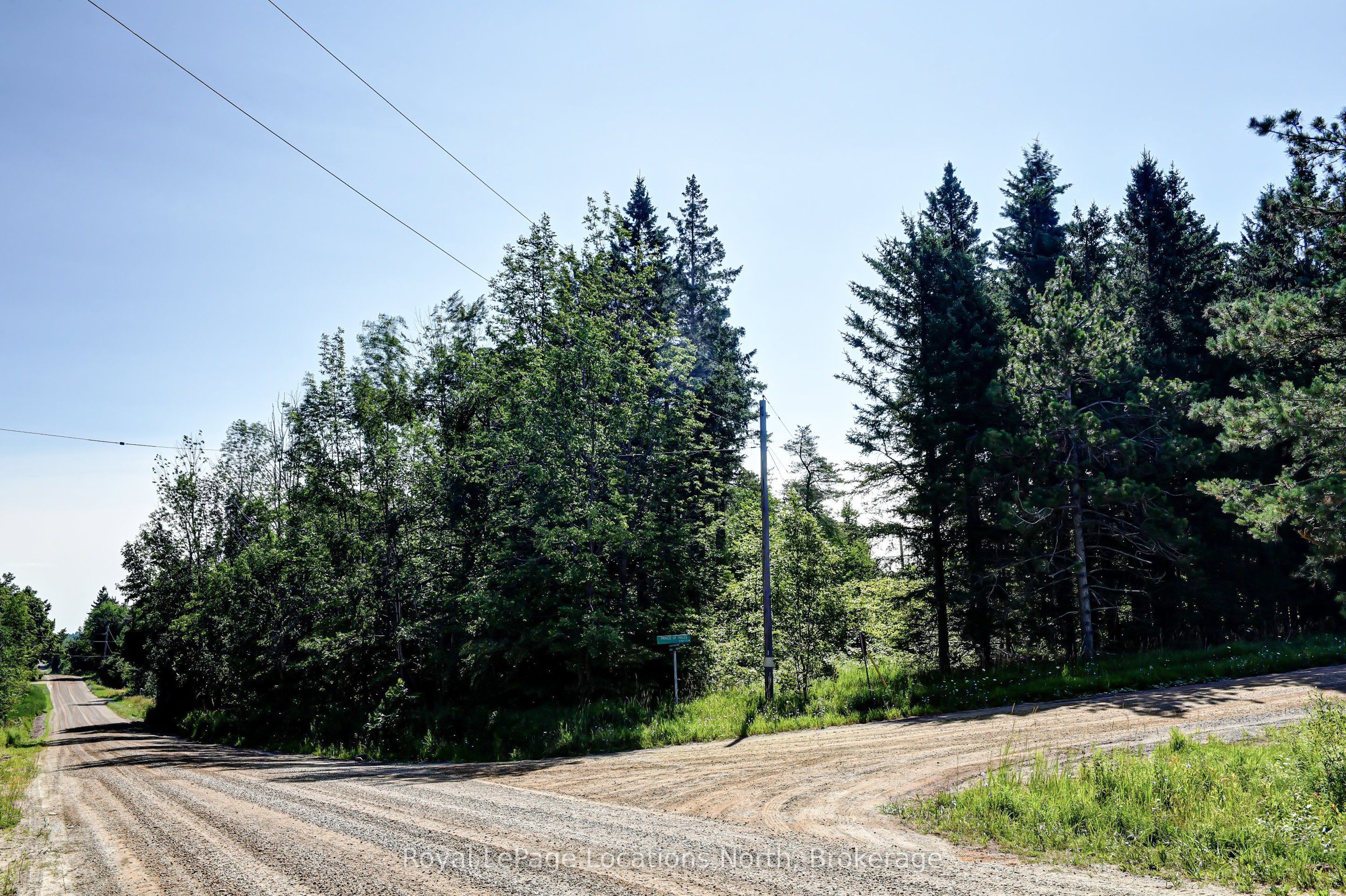 826298 Mulmur Nottawasaga Townline Line W, Mulmur, ON L9V 0Y4 photo 2