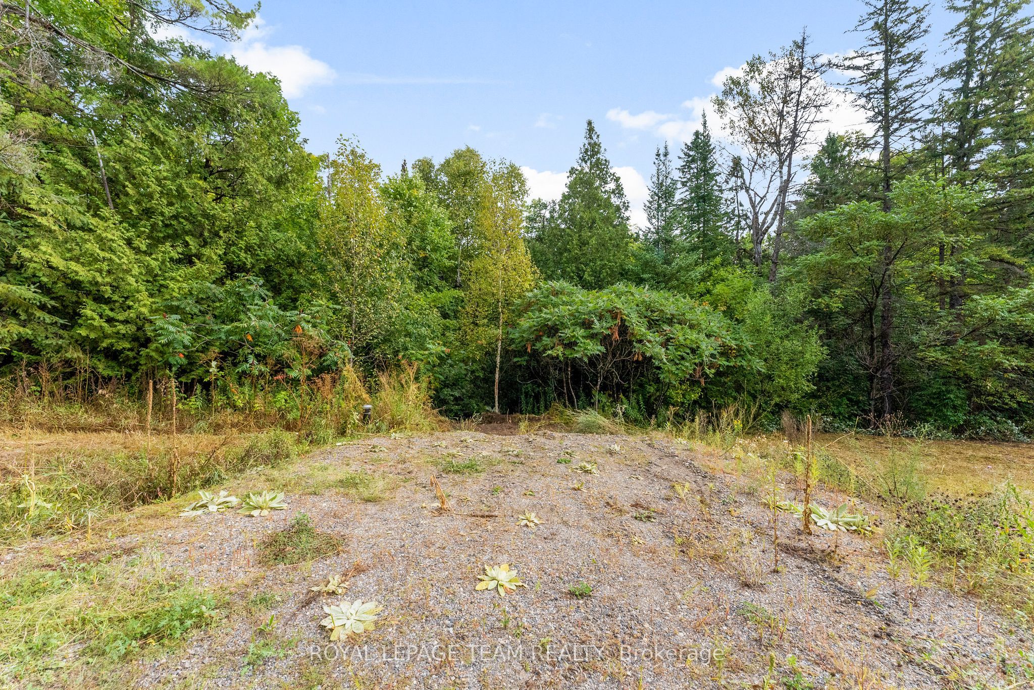 1412 French Line Road, Lanark Highlands, ON K0G 1K0 photo 4