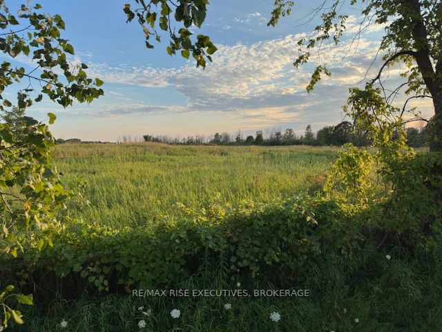 3878 County Rd 8, Greater Napanee, ON K7R 3K7 photo 3