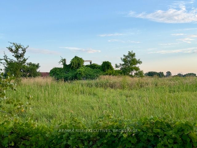 3878 County Rd 8, Greater Napanee, ON K7R 3K7 photo 4