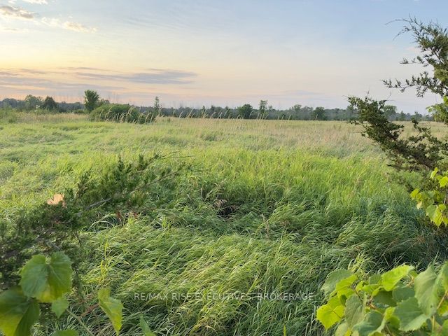 3878 County Rd 8, Greater Napanee, ON K7R 3K7 photo 5