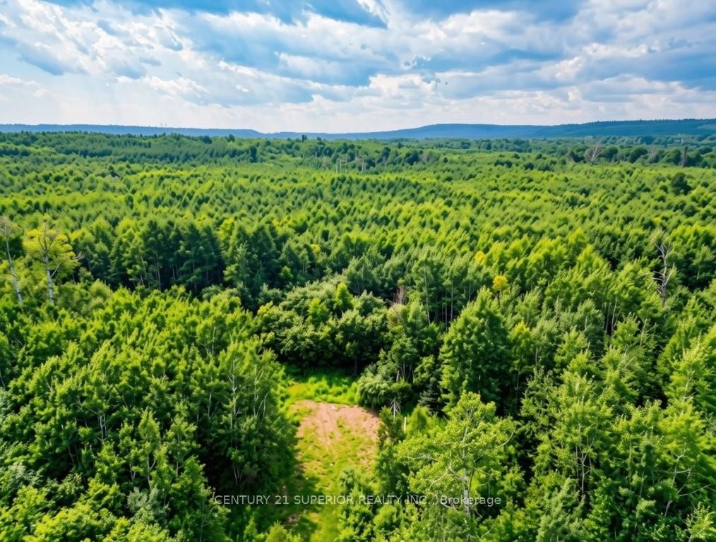 161 Valley Road, Dorion, ON P0T 1K0 photo 4