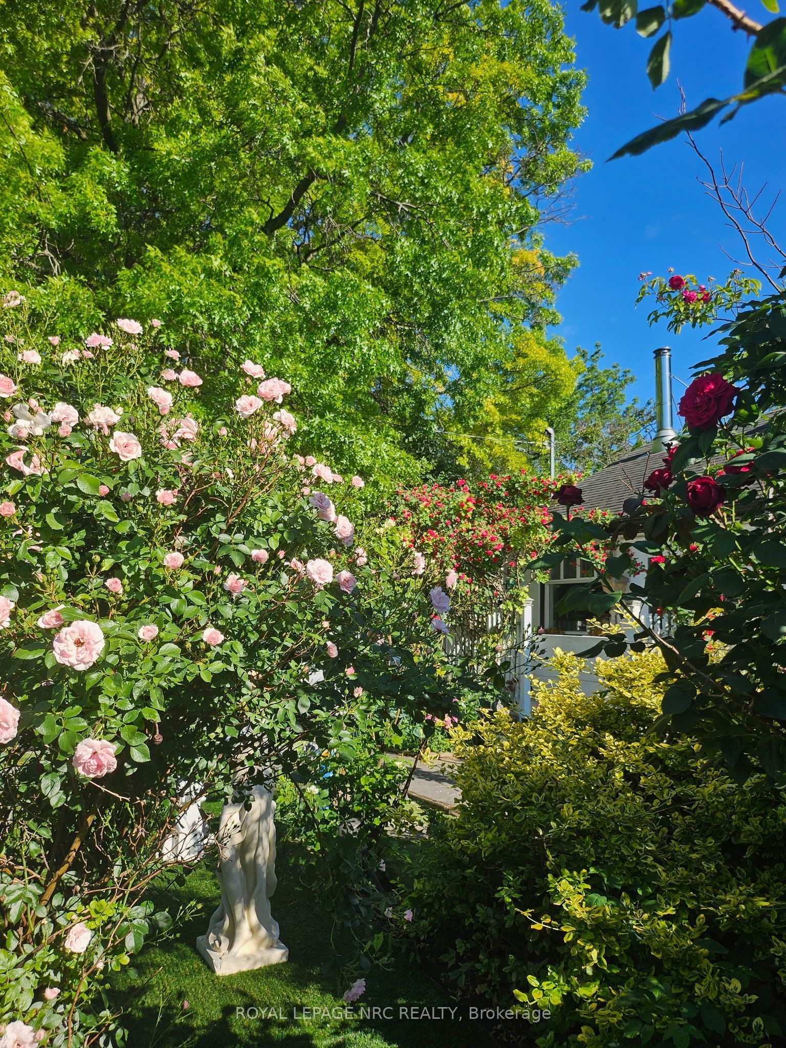 7 Vera Street, St. Catharines, ON L2S 1C3 photo 3