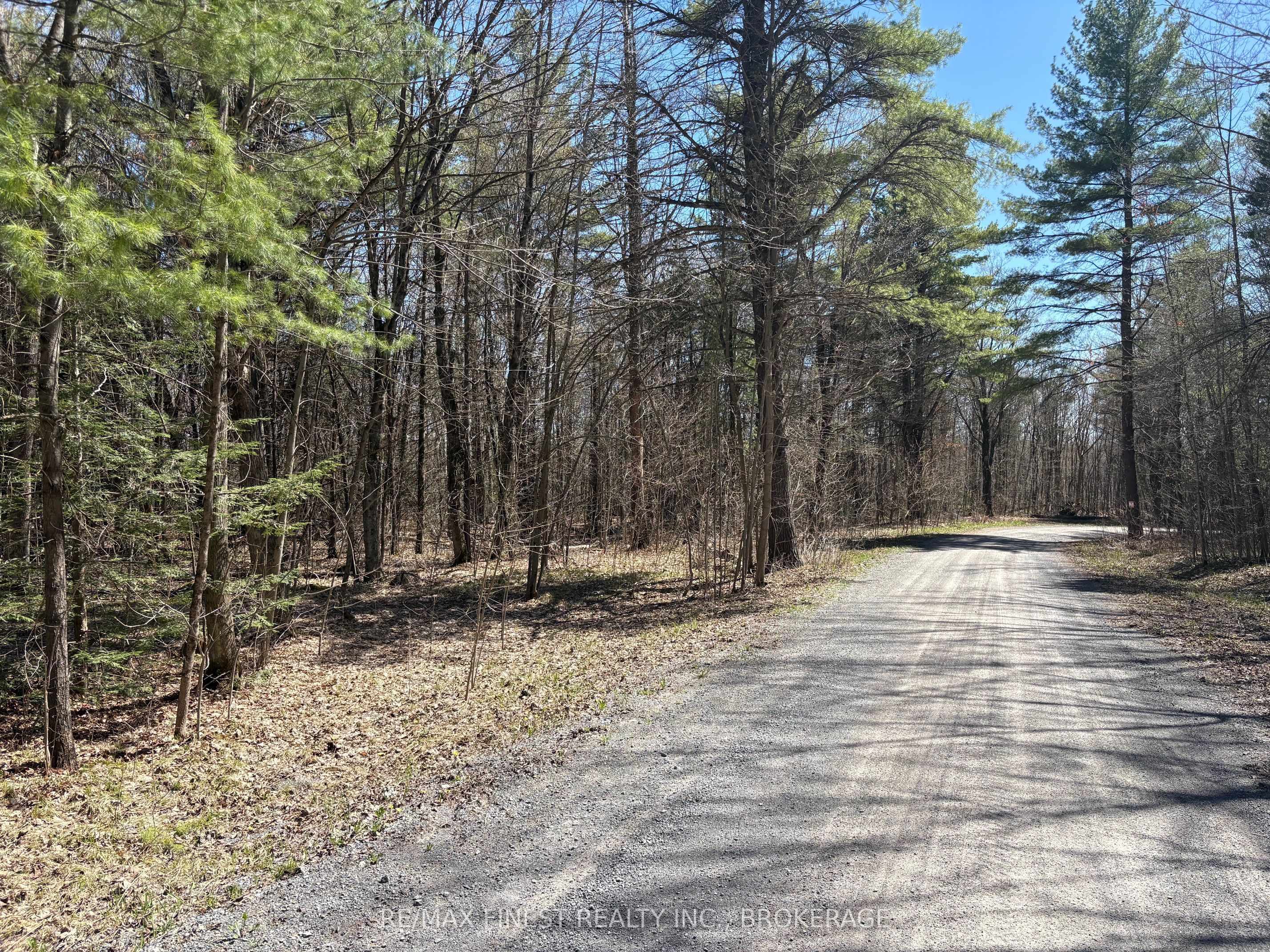 Lot 0 Centre Parcel Sweetfern Lane, Frontenac, ON K0H 1H0 photo 3