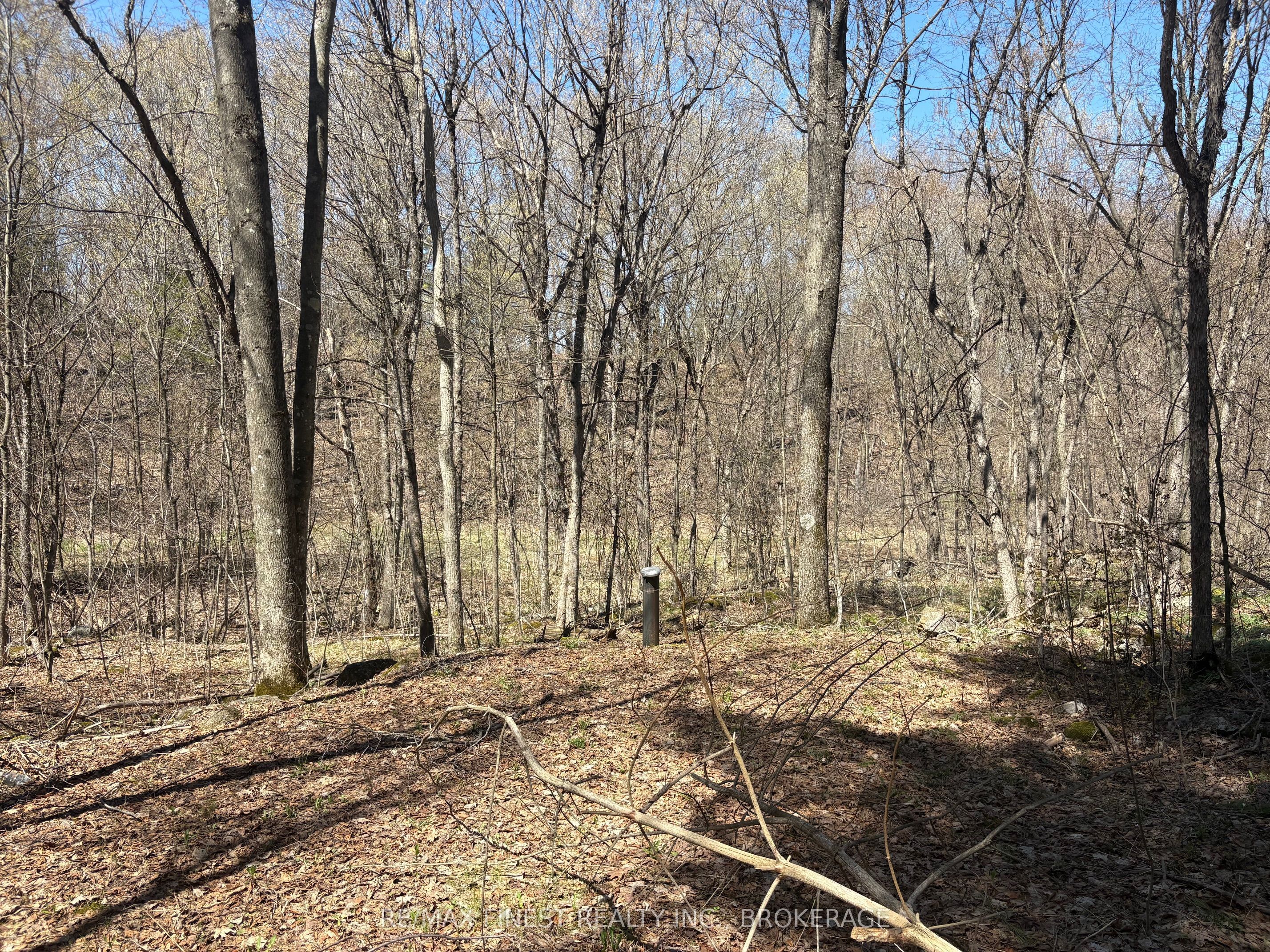 Lot 1 Sweetfern Lane, Frontenac, ON K0H 1H0 photo 3