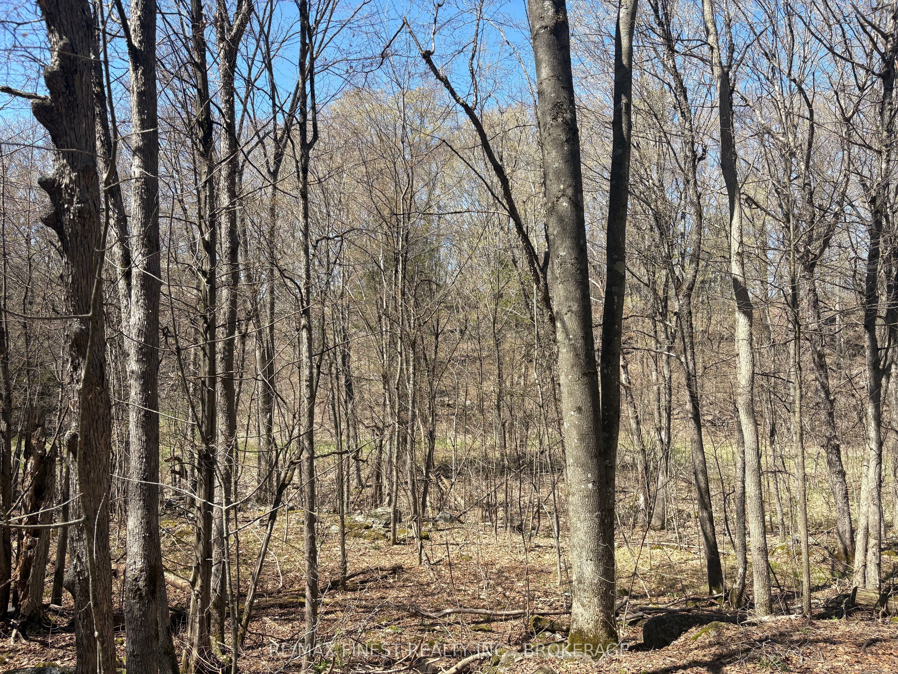 Lot 1 Sweetfern Lane, Frontenac, ON K0H 1H0 photo 4