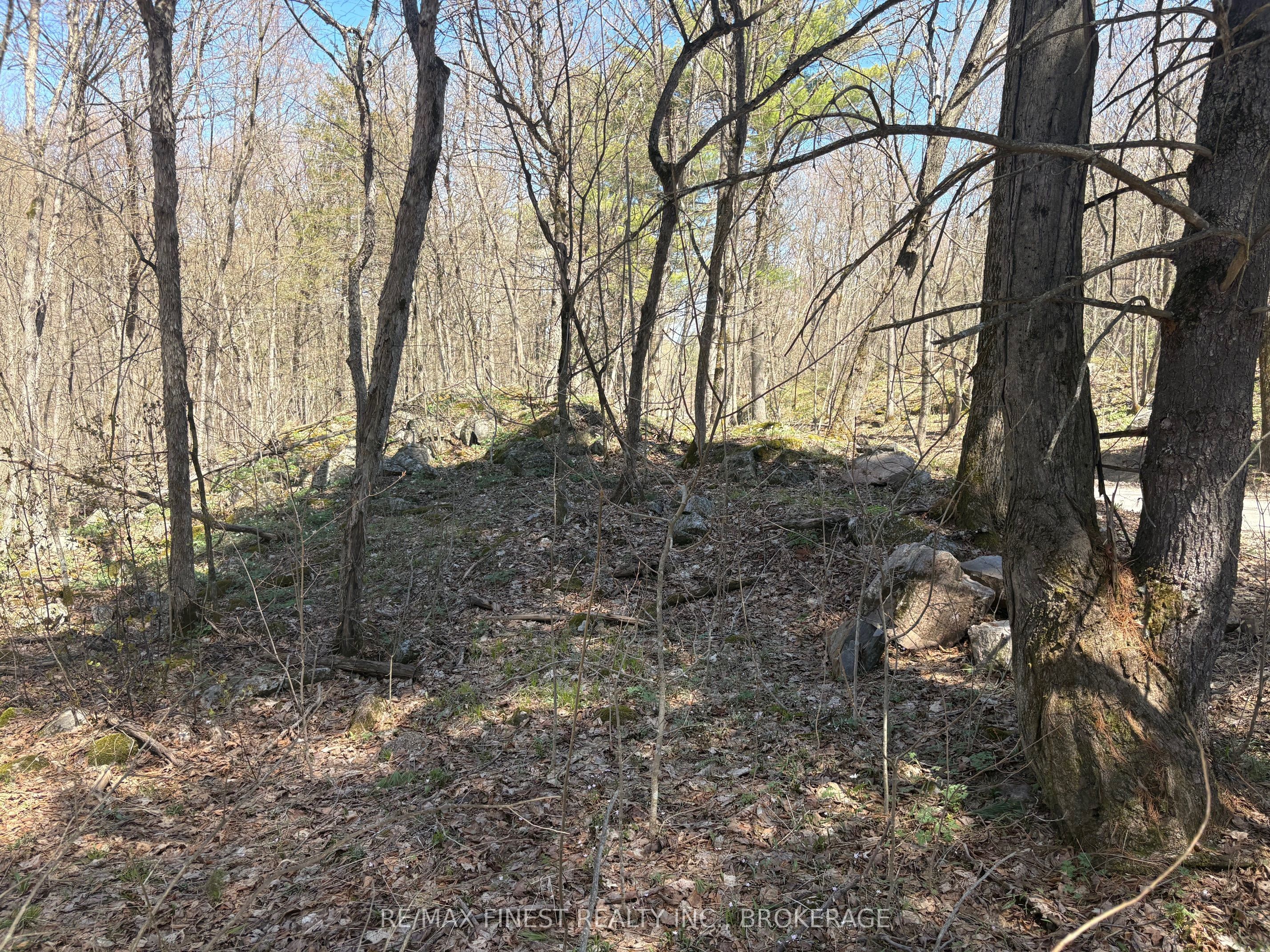 Lot 1 Sweetfern Lane, Frontenac, ON K0H 1H0 photo 5