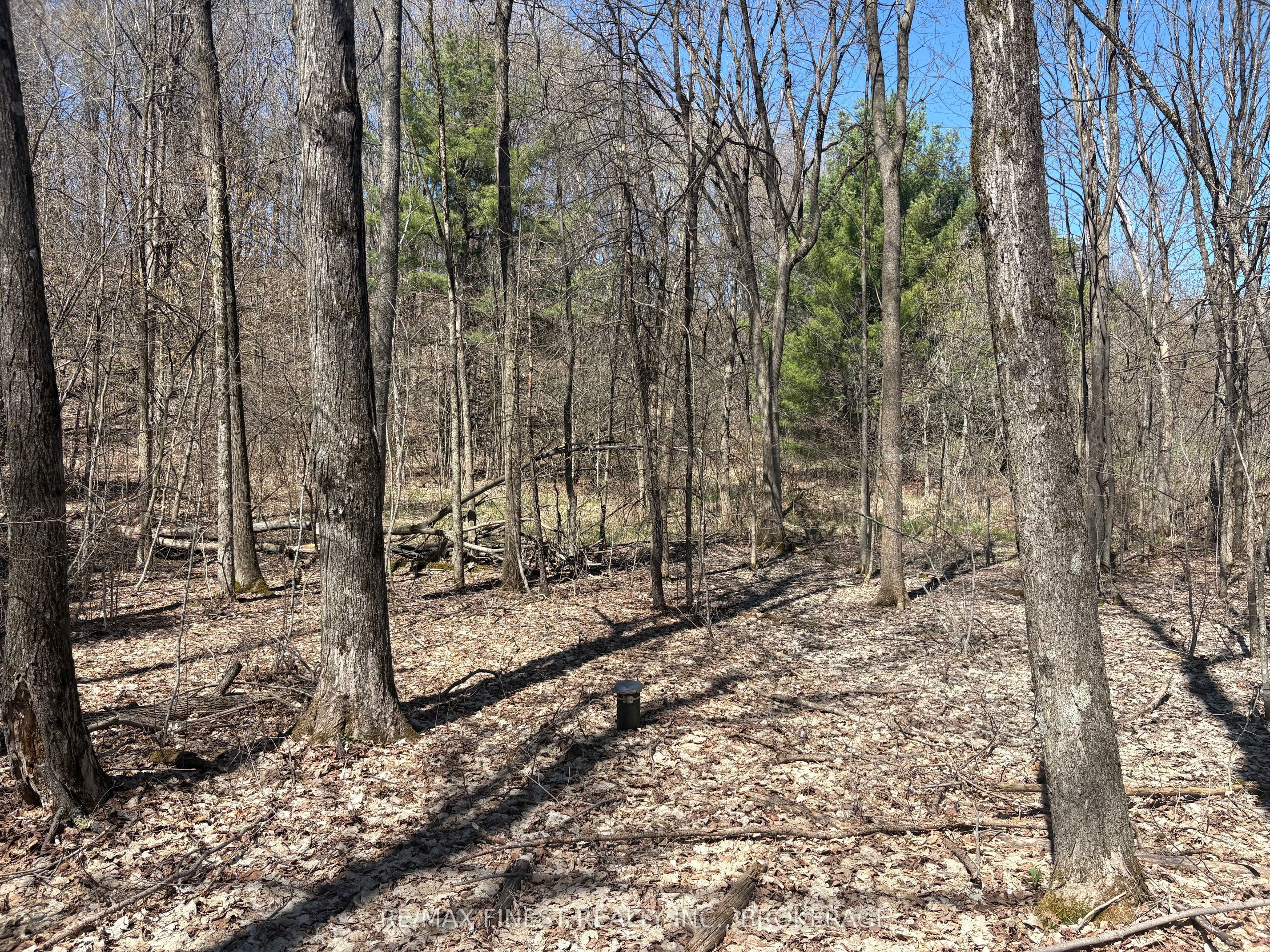 Lot 2 Sweetfern Lane, Frontenac, ON K0H 1H0 photo 3