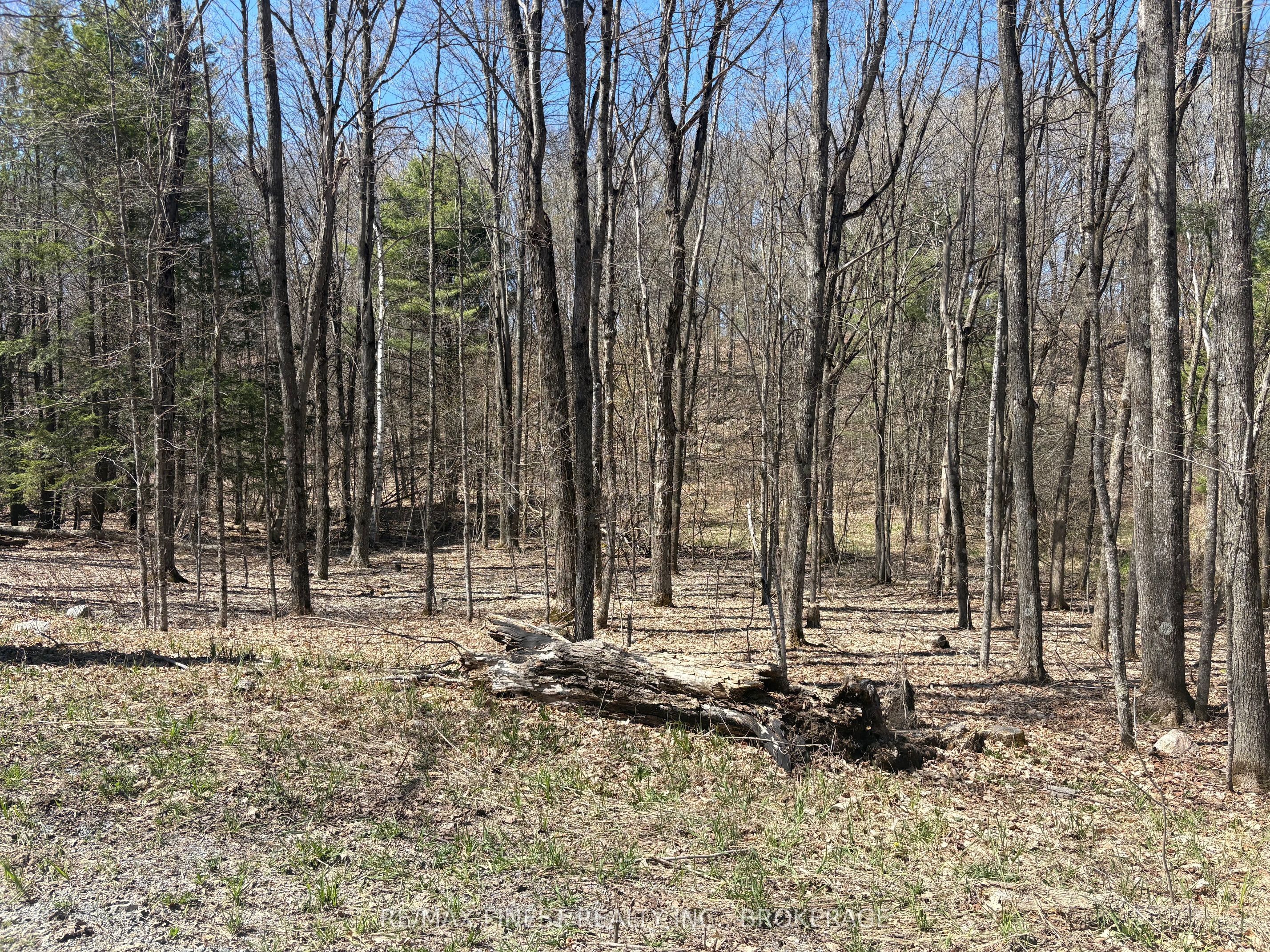 Lot 2 Sweetfern Lane, Frontenac, ON K0H 1H0 photo 4