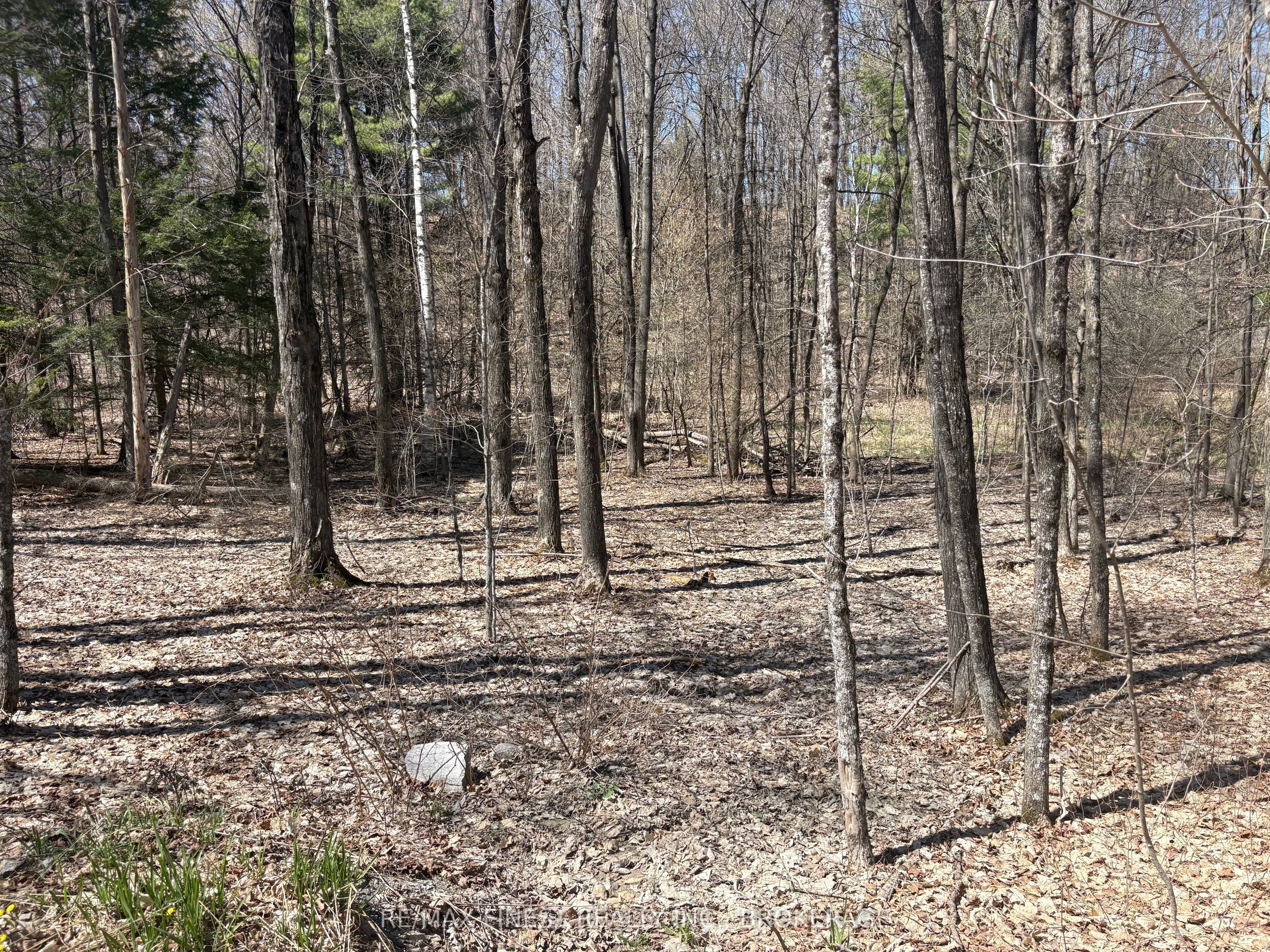 Lot 2 Sweetfern Lane, Frontenac, ON K0H 1H0 photo 5