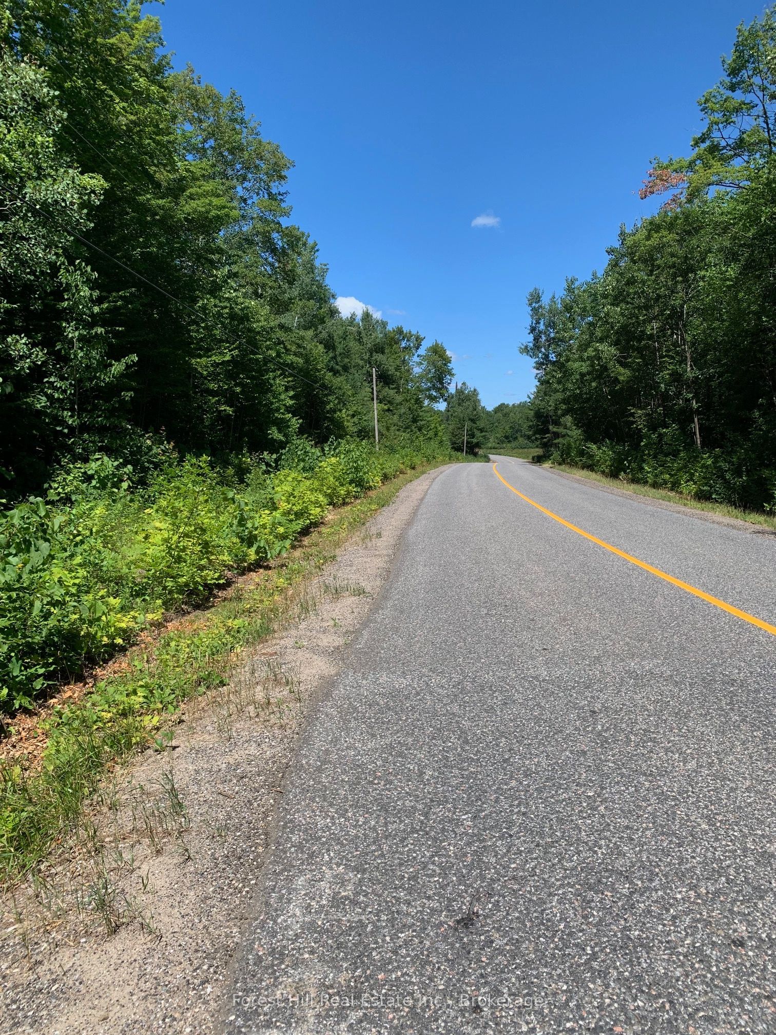 4225 Southwood Road, Muskoka Lakes, ON P0C 1M0 photo 3