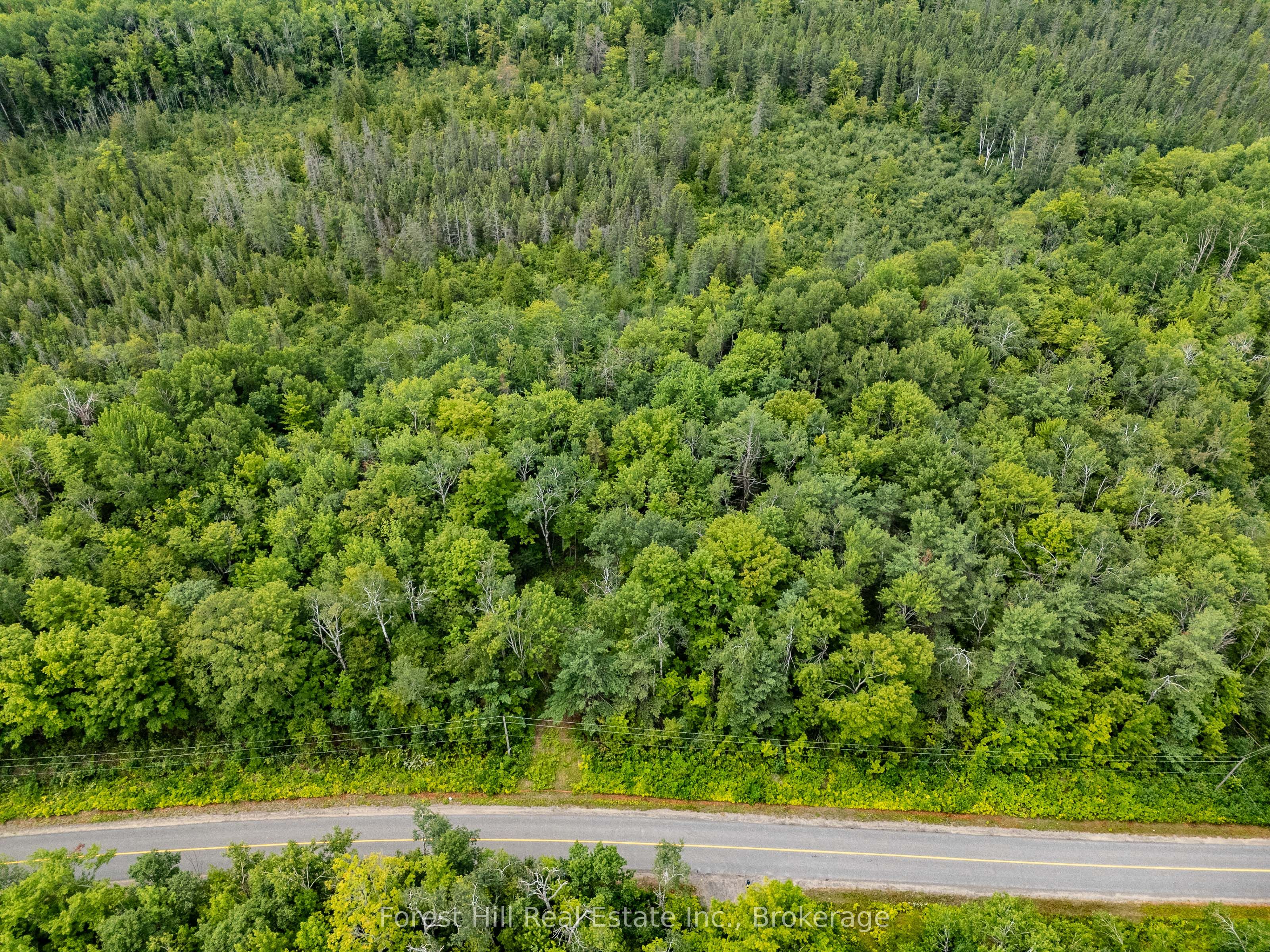 4225 Southwood Road, Muskoka Lakes, ON P0C 1M0 photo 5