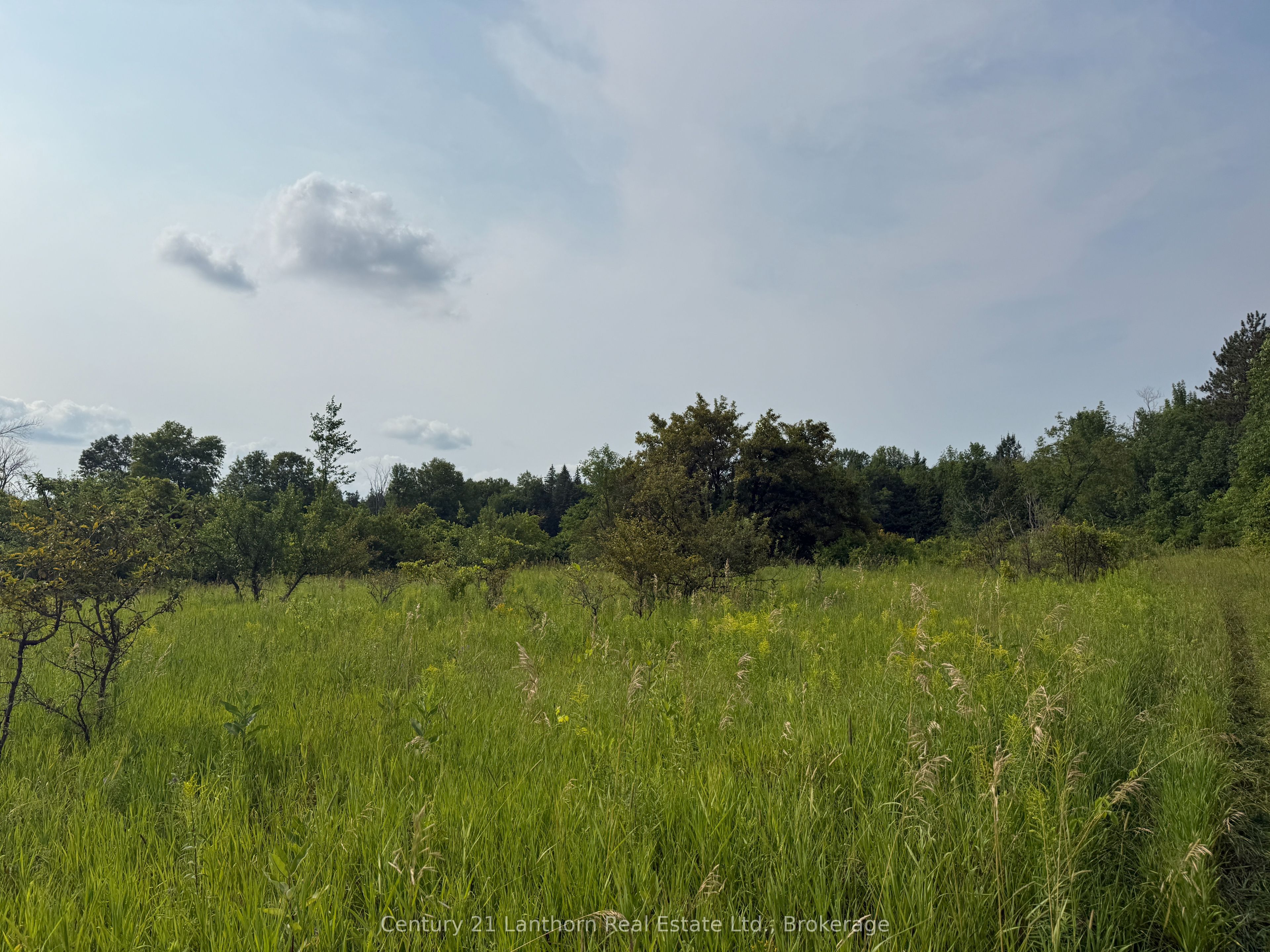 670 Scotch Settlement Road, Madoc, ON K0K 2K0 photo 2