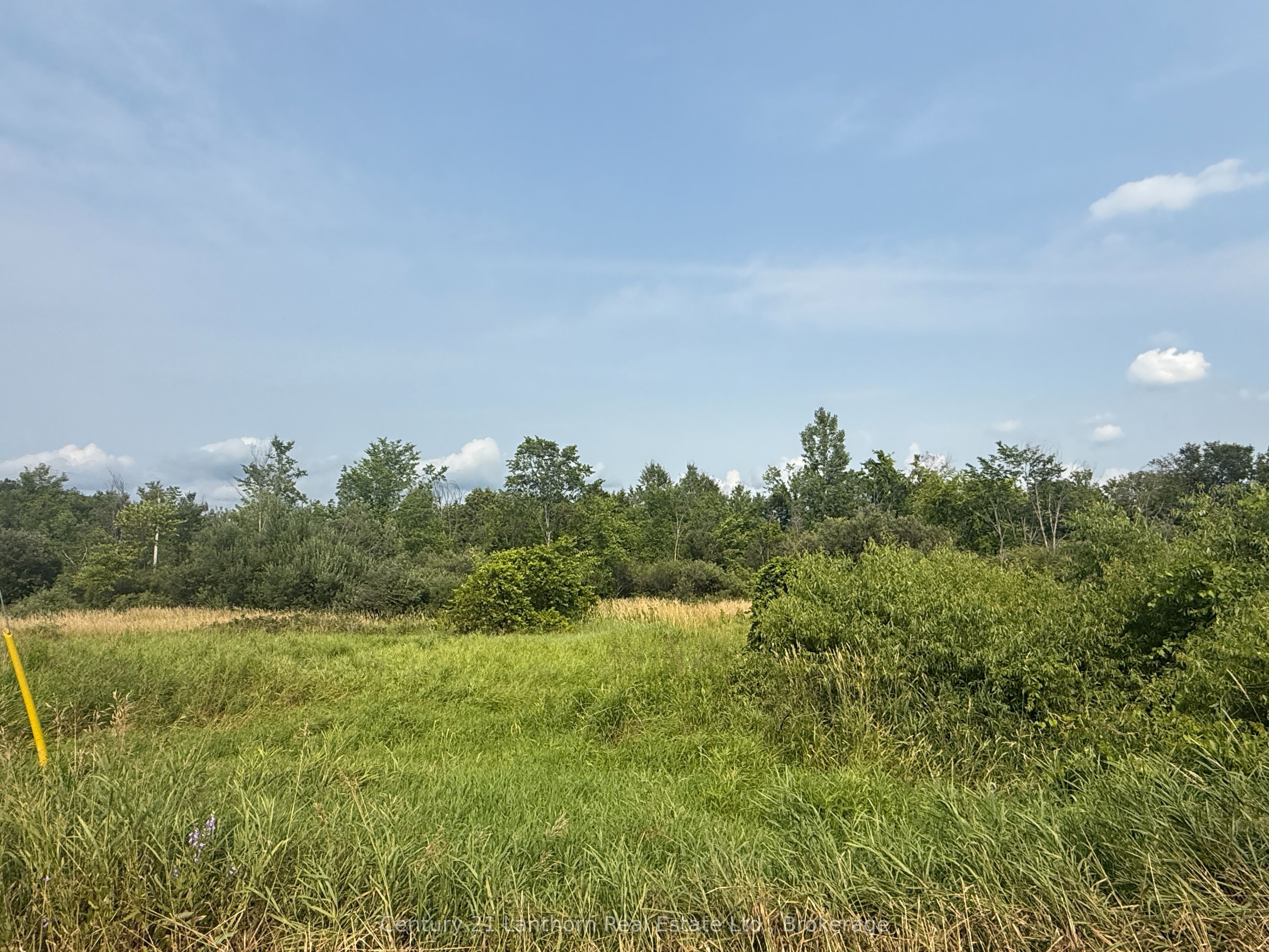 670 Scotch Settlement Road, Madoc, ON K0K 2K0 photo 3