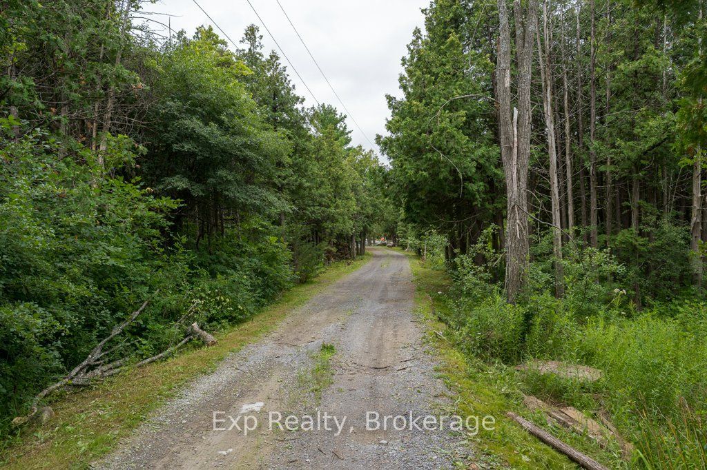 2822 Shannon Road, Tyendinaga, ON K0K 3A0 photo 3