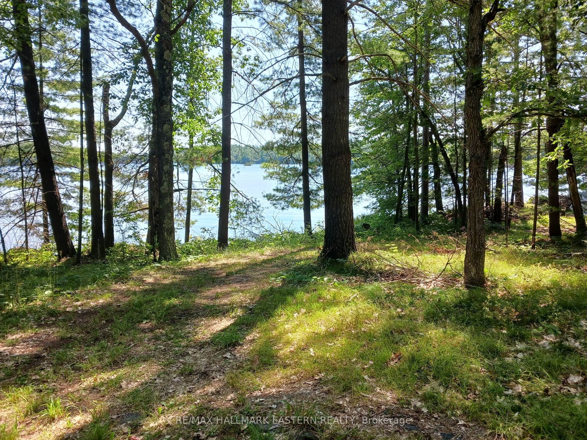 15 Fire Route 92A Kasshabog Lake, Havelock-Belmont-Methuen, ON K0L 2H0 photo 2