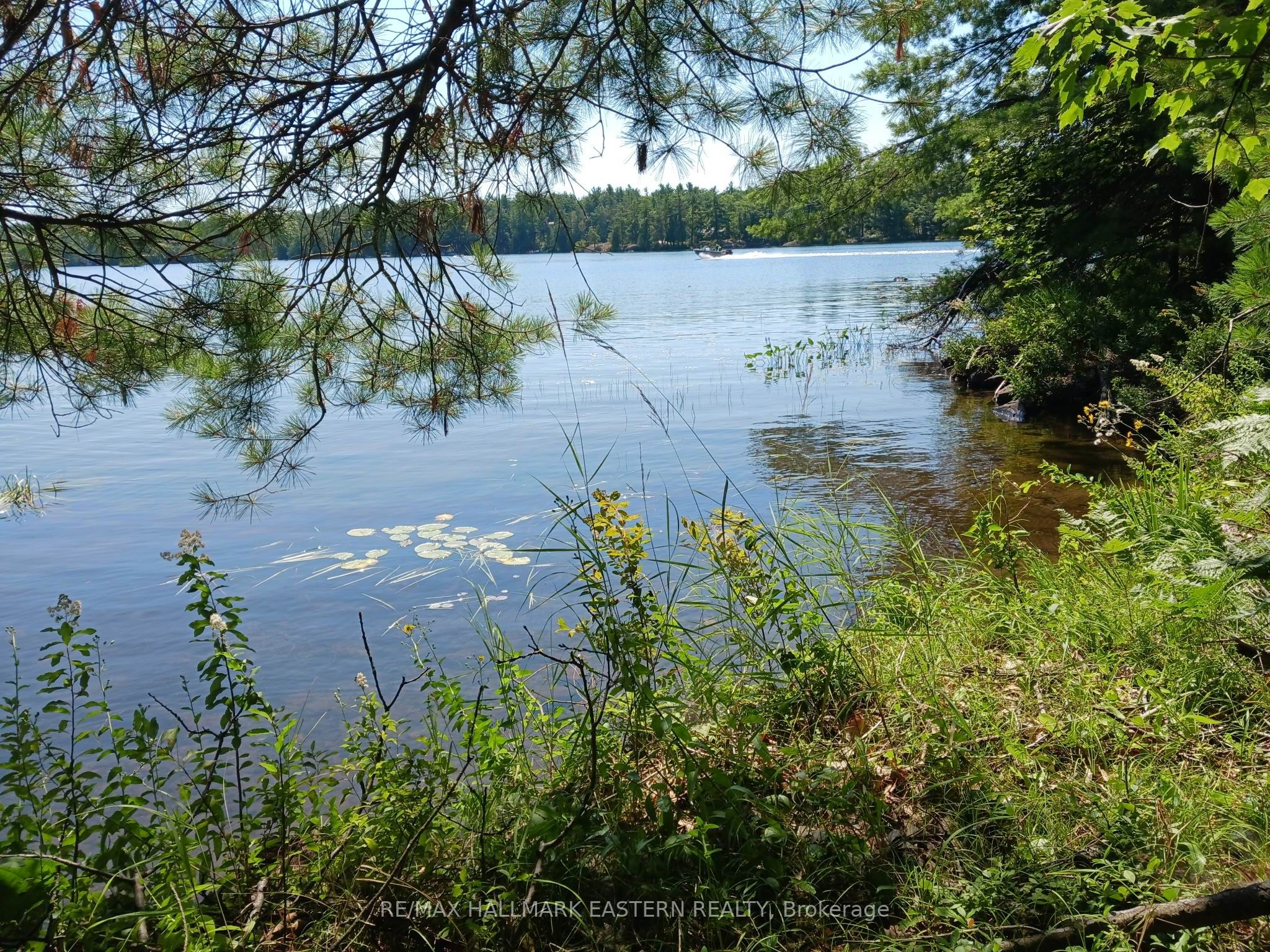 17 Fire Route 92A Kasshabog Lake, Havelock-Belmont-Methuen, ON K0L 2H0 photo 4