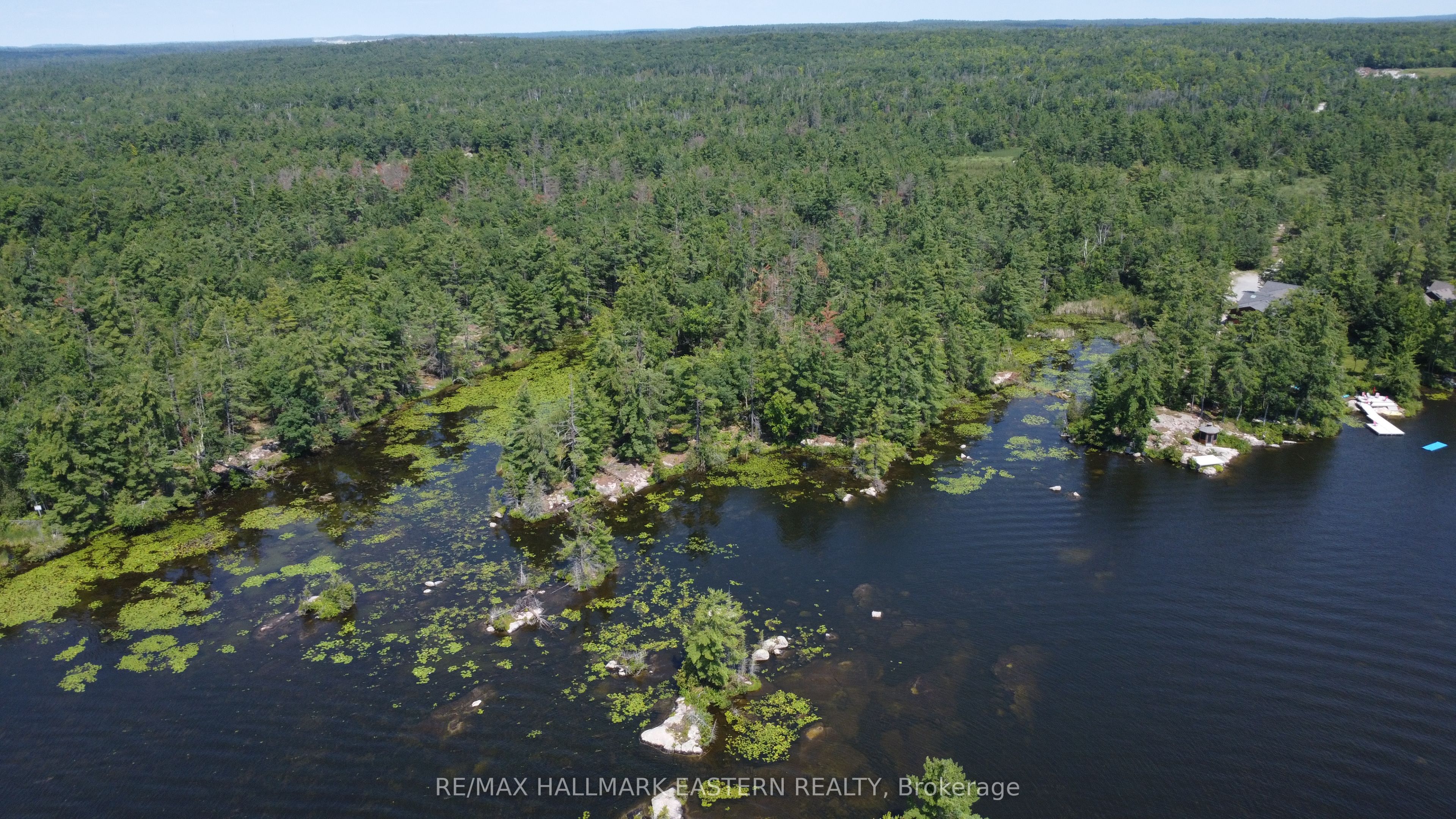 12 Fire Route 21, Trent Lakes, ON K0L 1J0 photo 2
