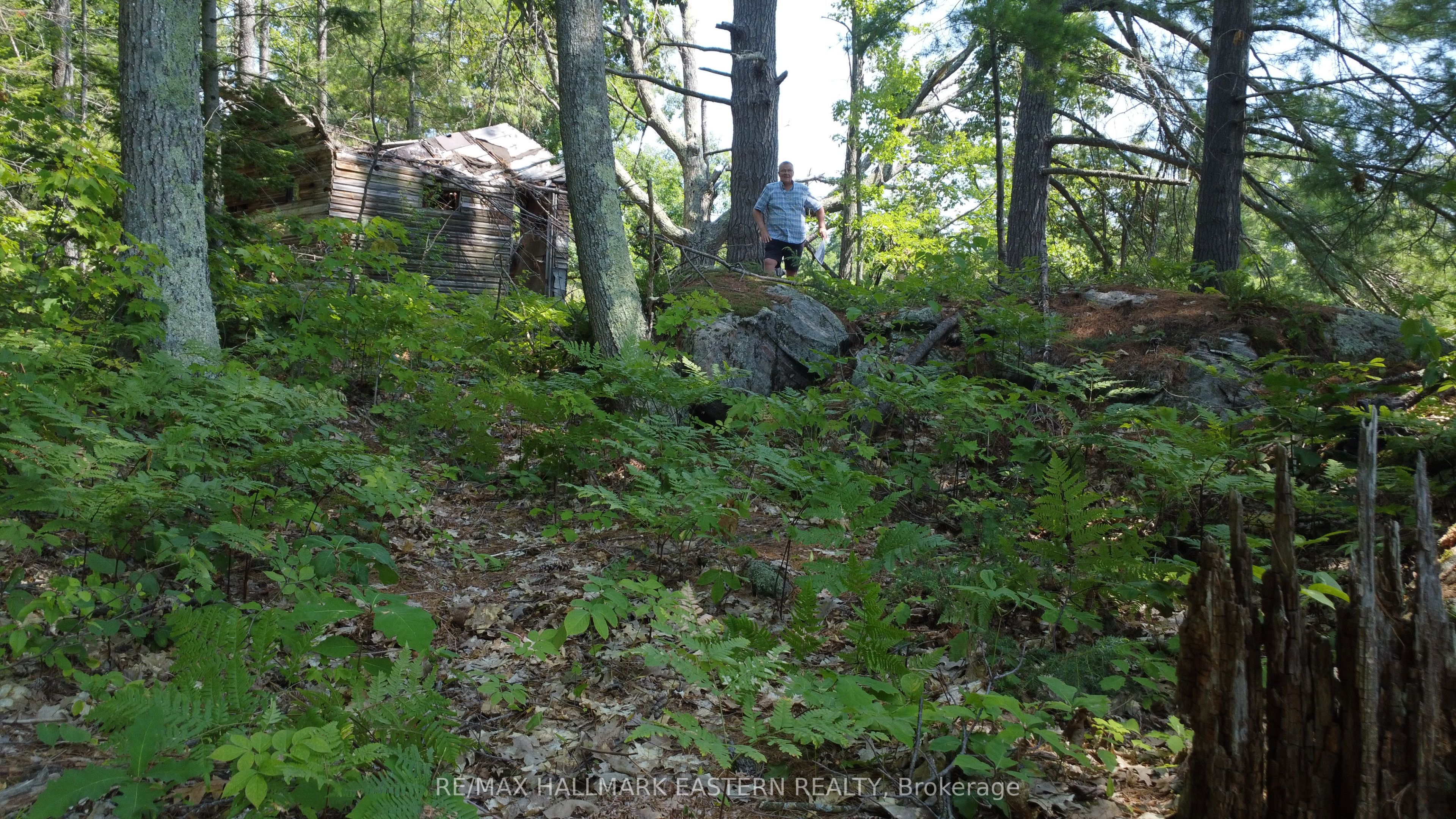 12 Fire Route 21, Trent Lakes, ON K0L 1J0 photo 5