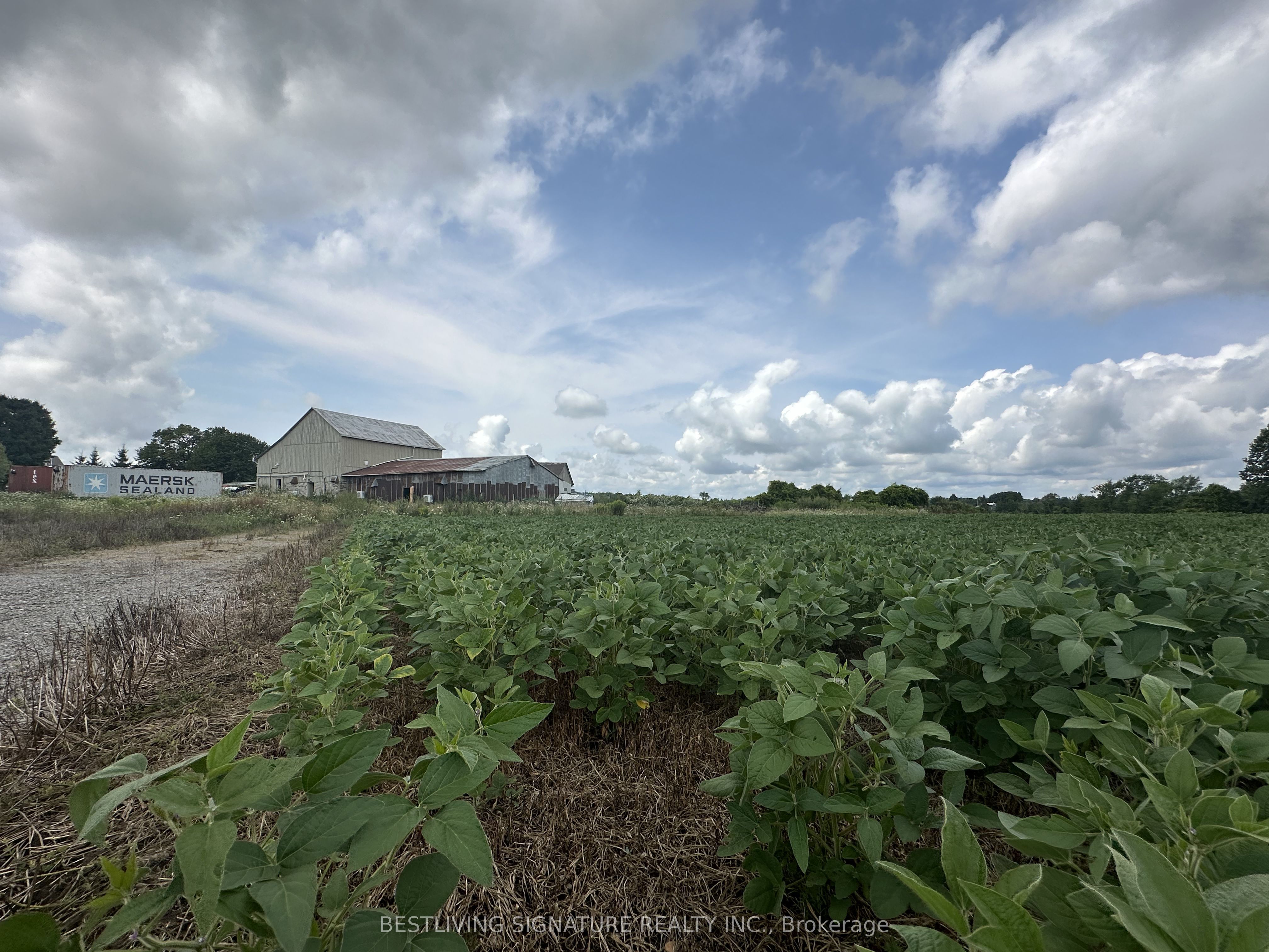 3752 Elm Tree Road, Kawartha Lakes, ON K0M 2B0 photo 5