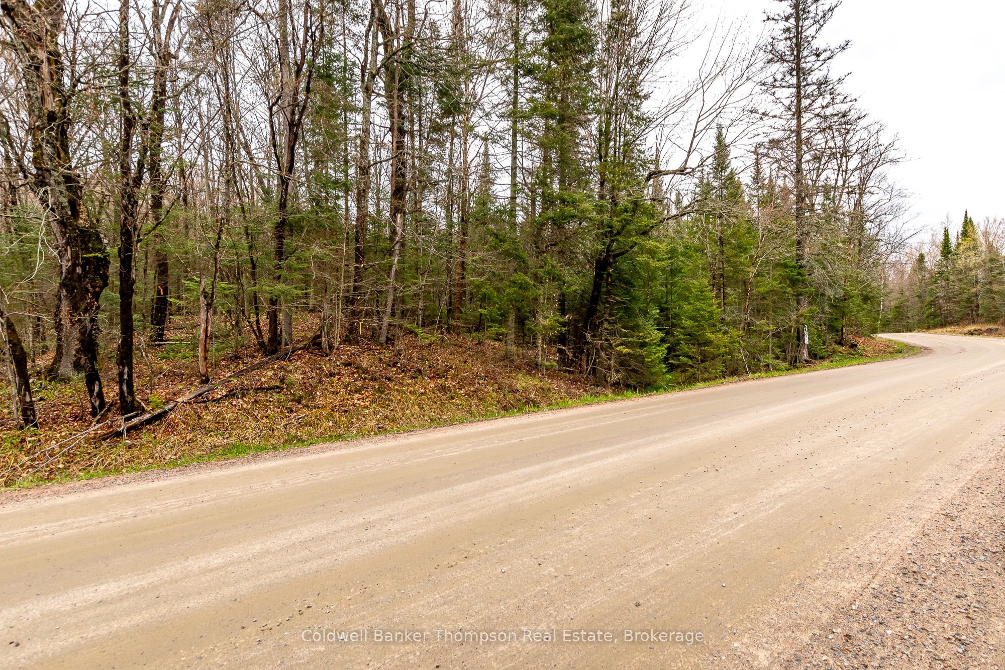 Lot 1 South Horn Lake Road, Armour, ON P0A 1C0
