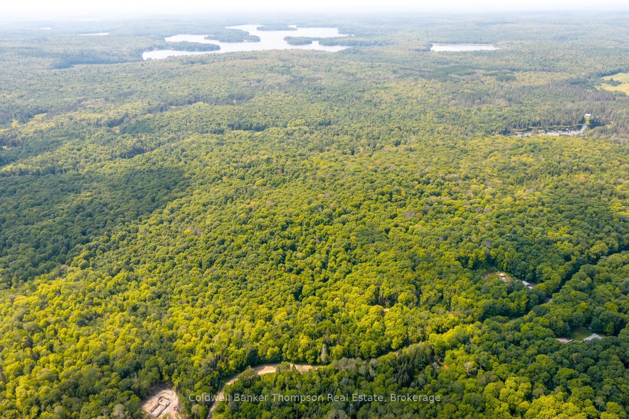 Lot 1 South Horn Lake Road, Armour, ON P0A 1C0 photo 4