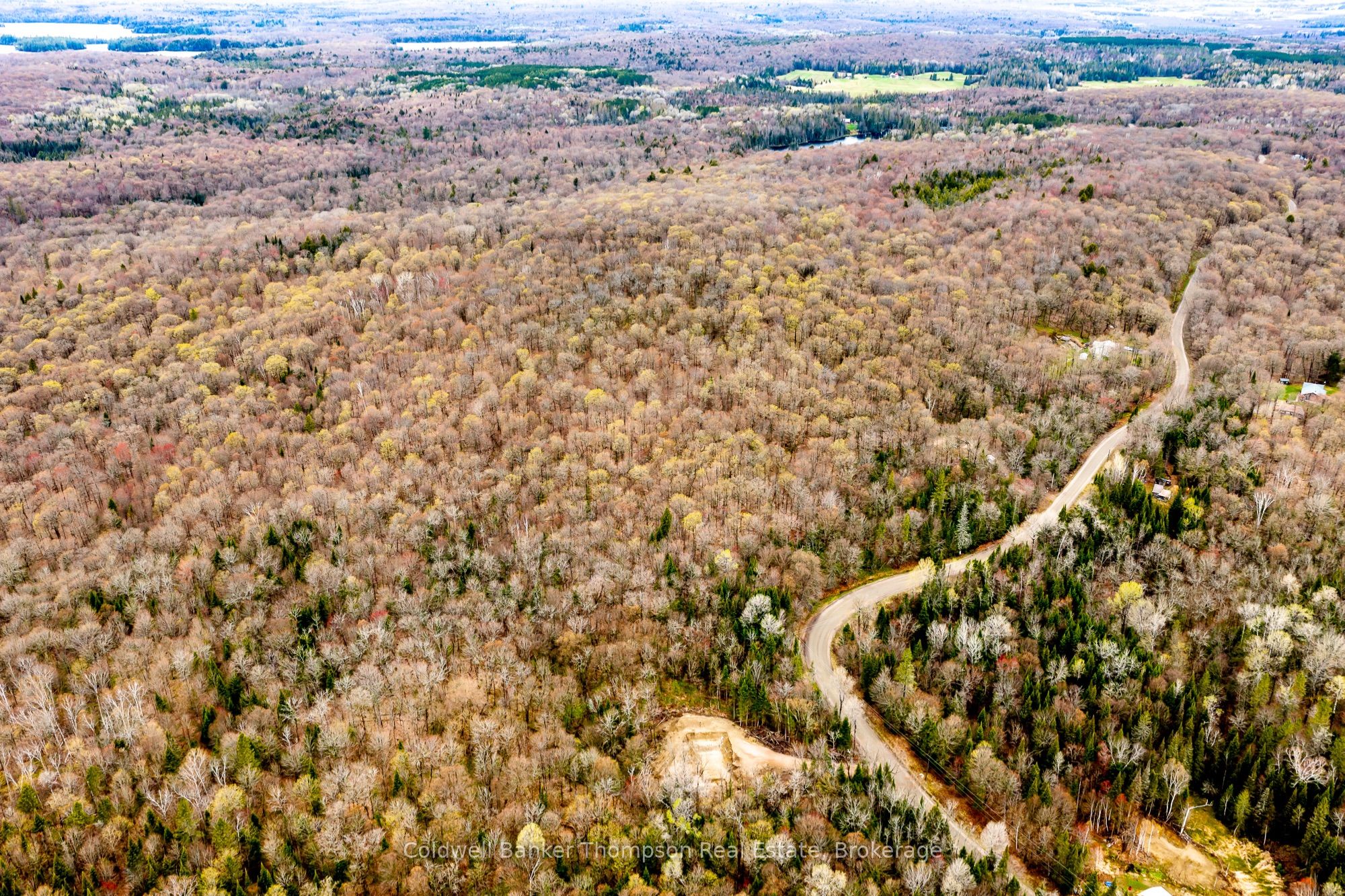 Lot 1 South Horn Lake Road, Armour, ON P0A 1C0 photo 5