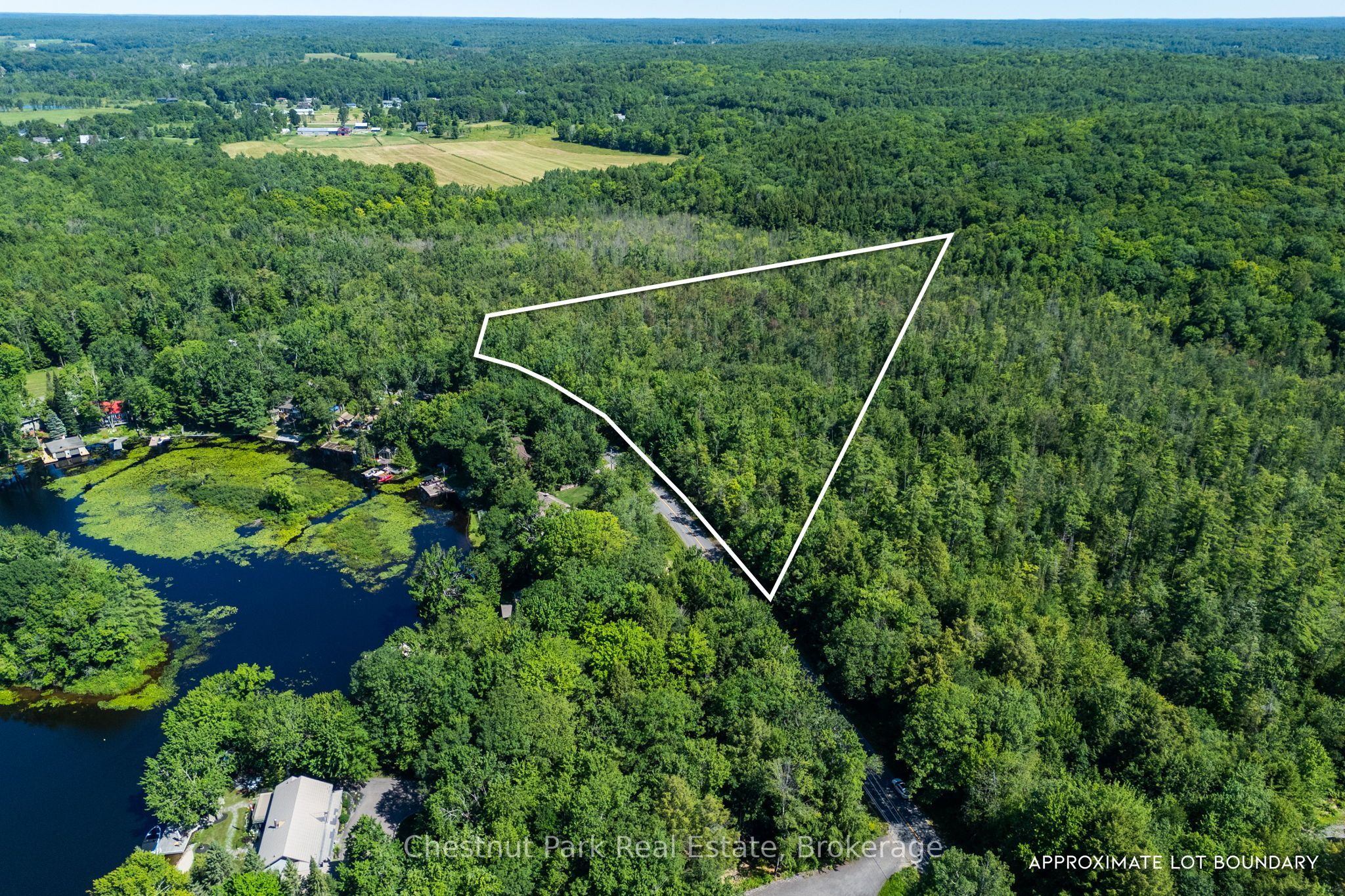 1461 Golden Beach Road, Bracebridge, ON P1L 1W8 photo 3