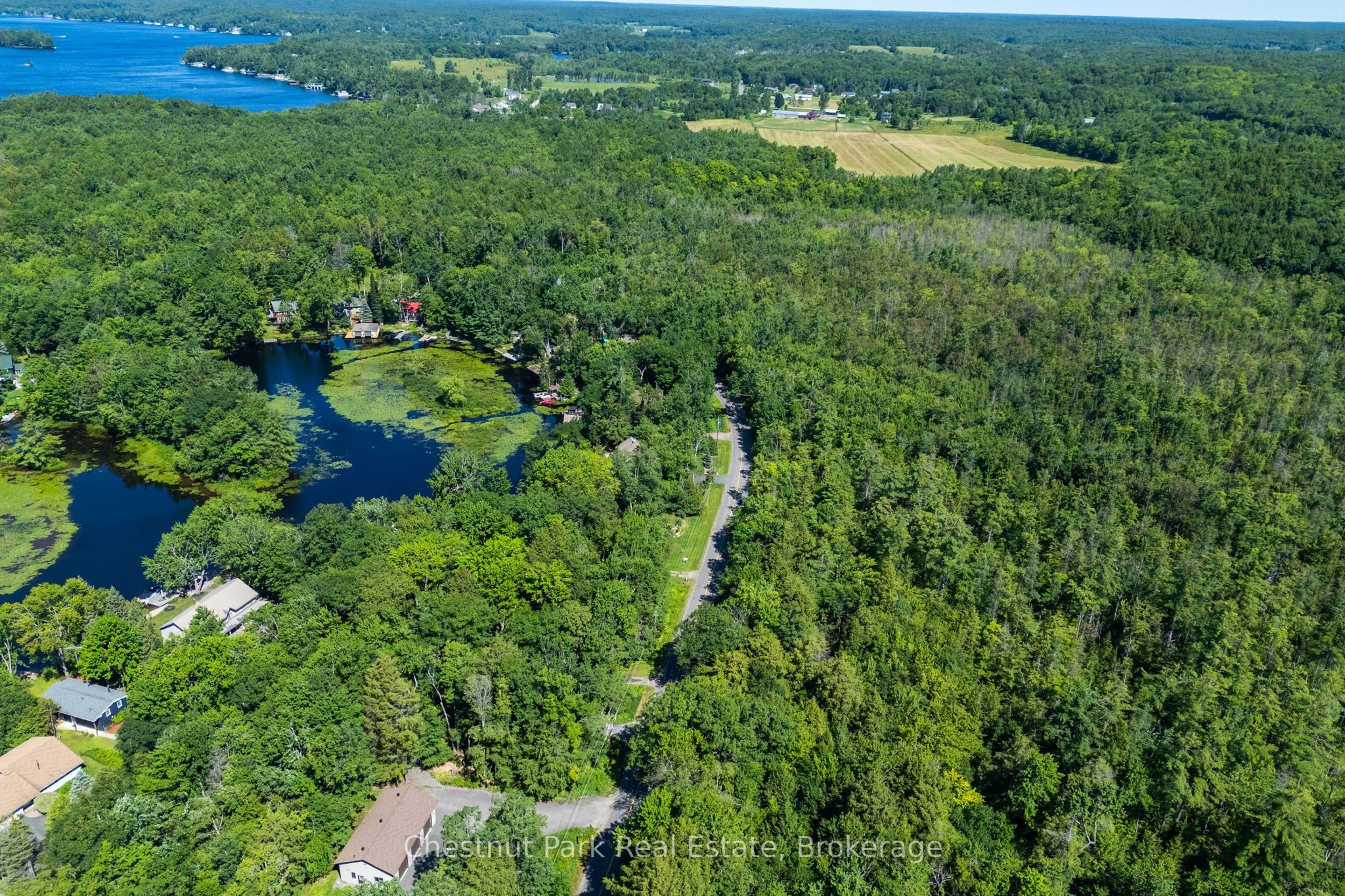 1461 Golden Beach Road, Bracebridge, ON P1L 1W8 photo 4