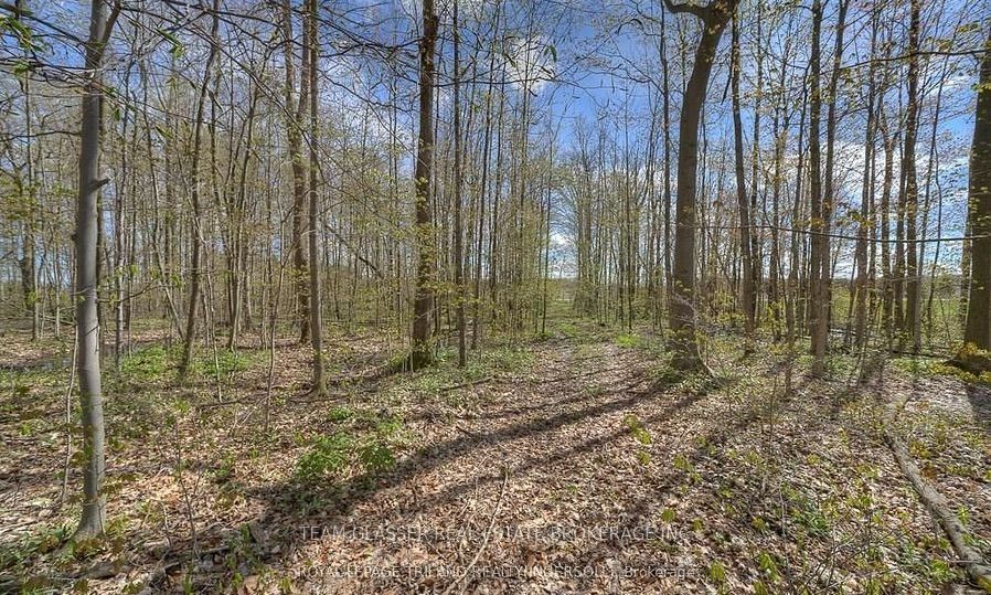 315529 31ST Line, Zorra, ON N0J 1J0 photo 3