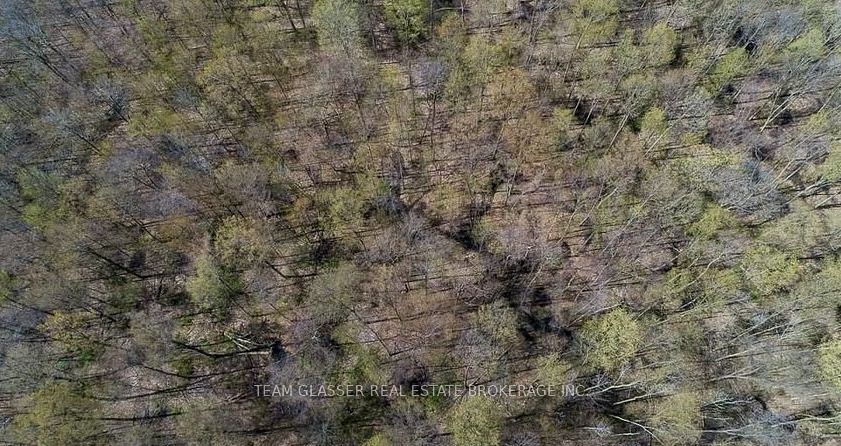 315529 31ST Line, Zorra, ON N0J 1J0 photo 5
