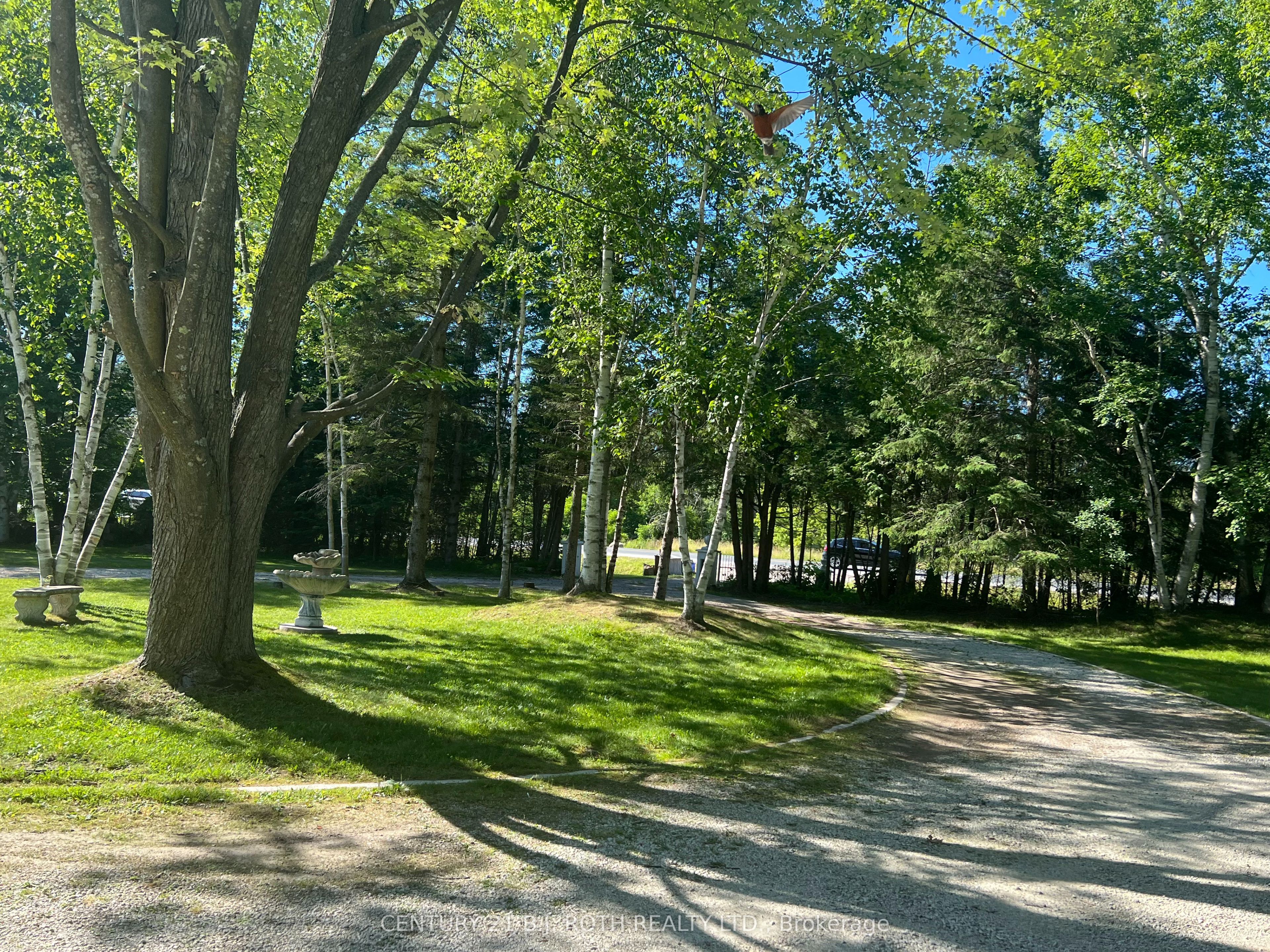 209846 26 Highway, Blue Mountains, ON L9Y 0L1 photo 5