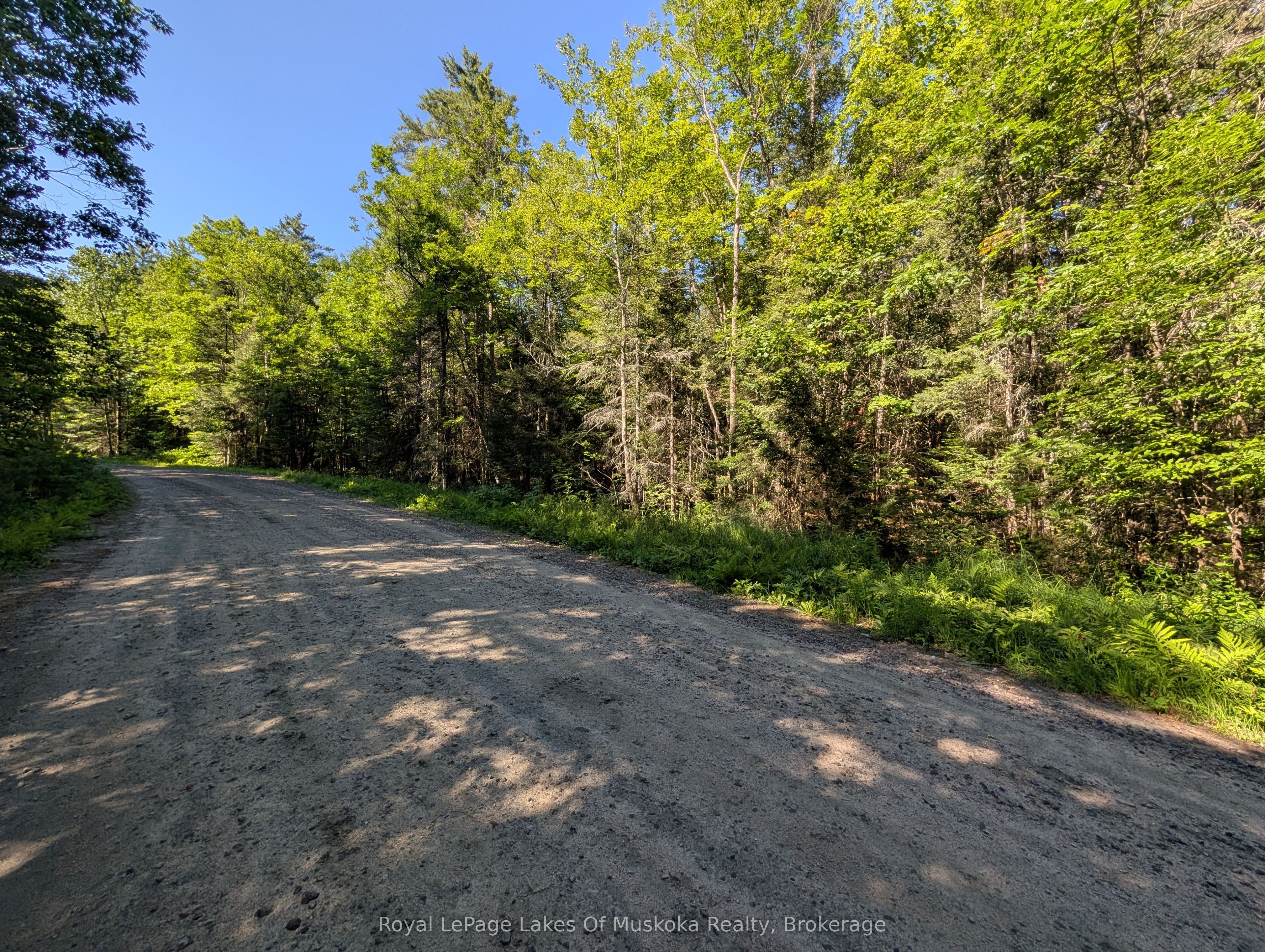 827 Nipissing Road N, Magnetawan, ON P0A 1X0 photo 2