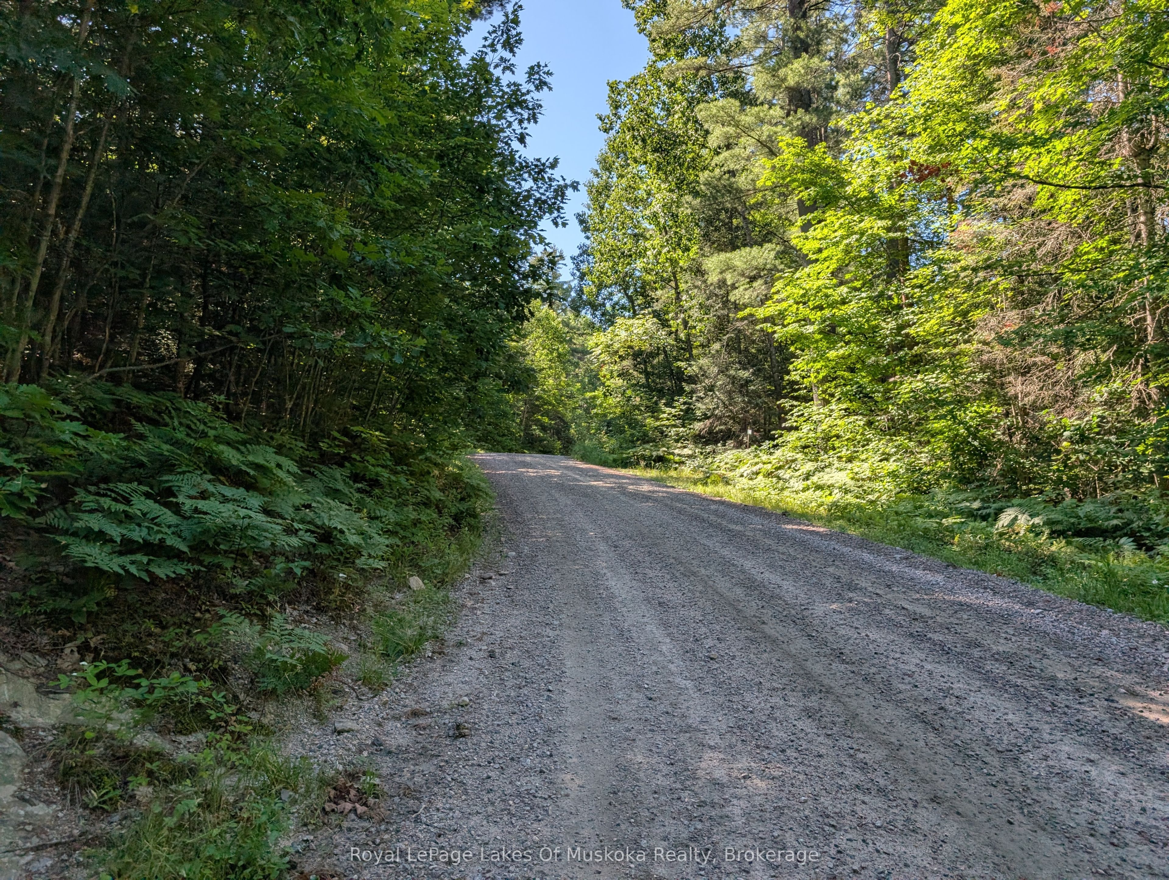 827 Nipissing Road N, Magnetawan, ON P0A 1X0 photo 4