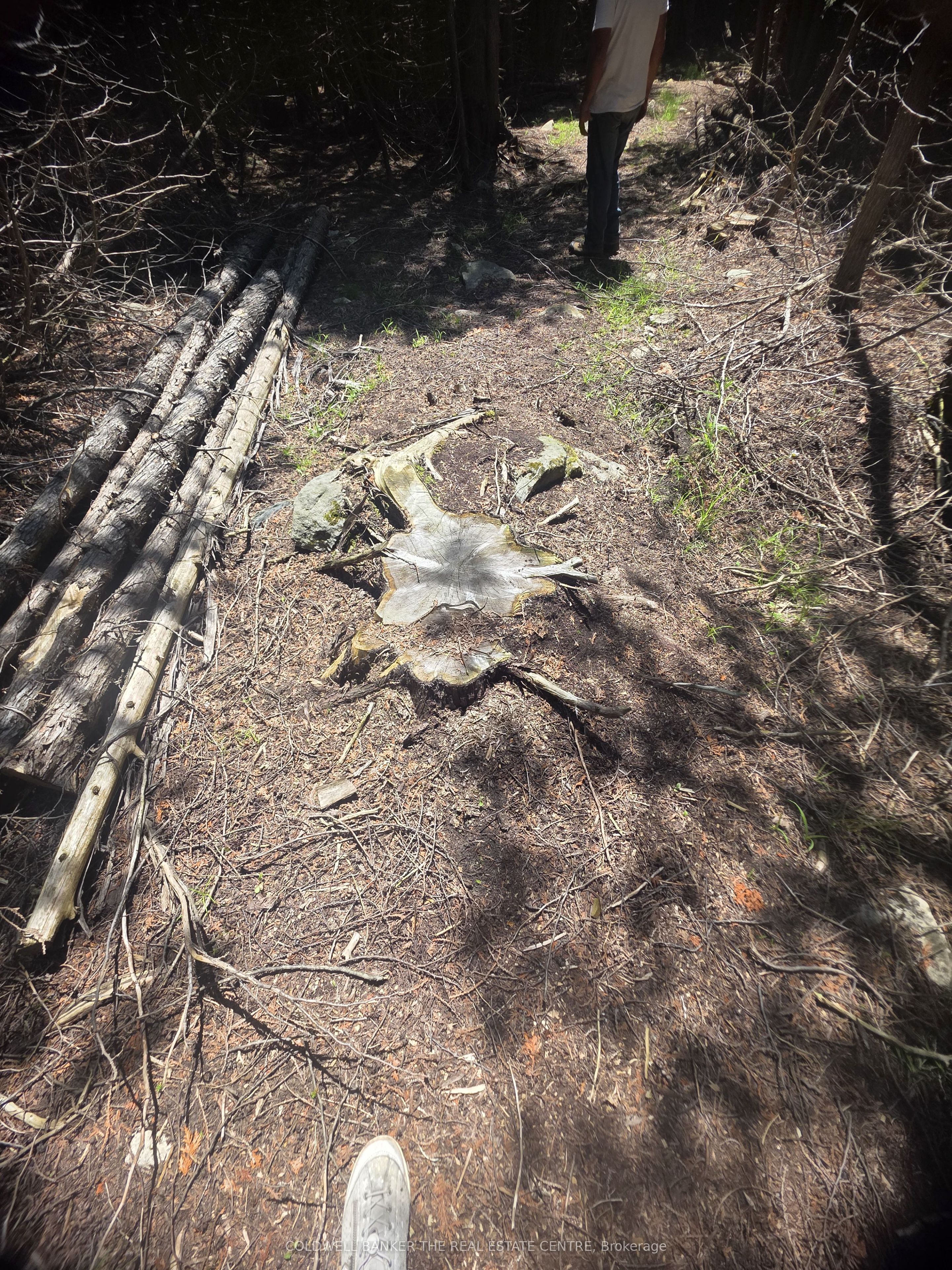 N/A W GOVERNMENT RD Acres W, Tehkummah, ON P0P 2C0 photo 3